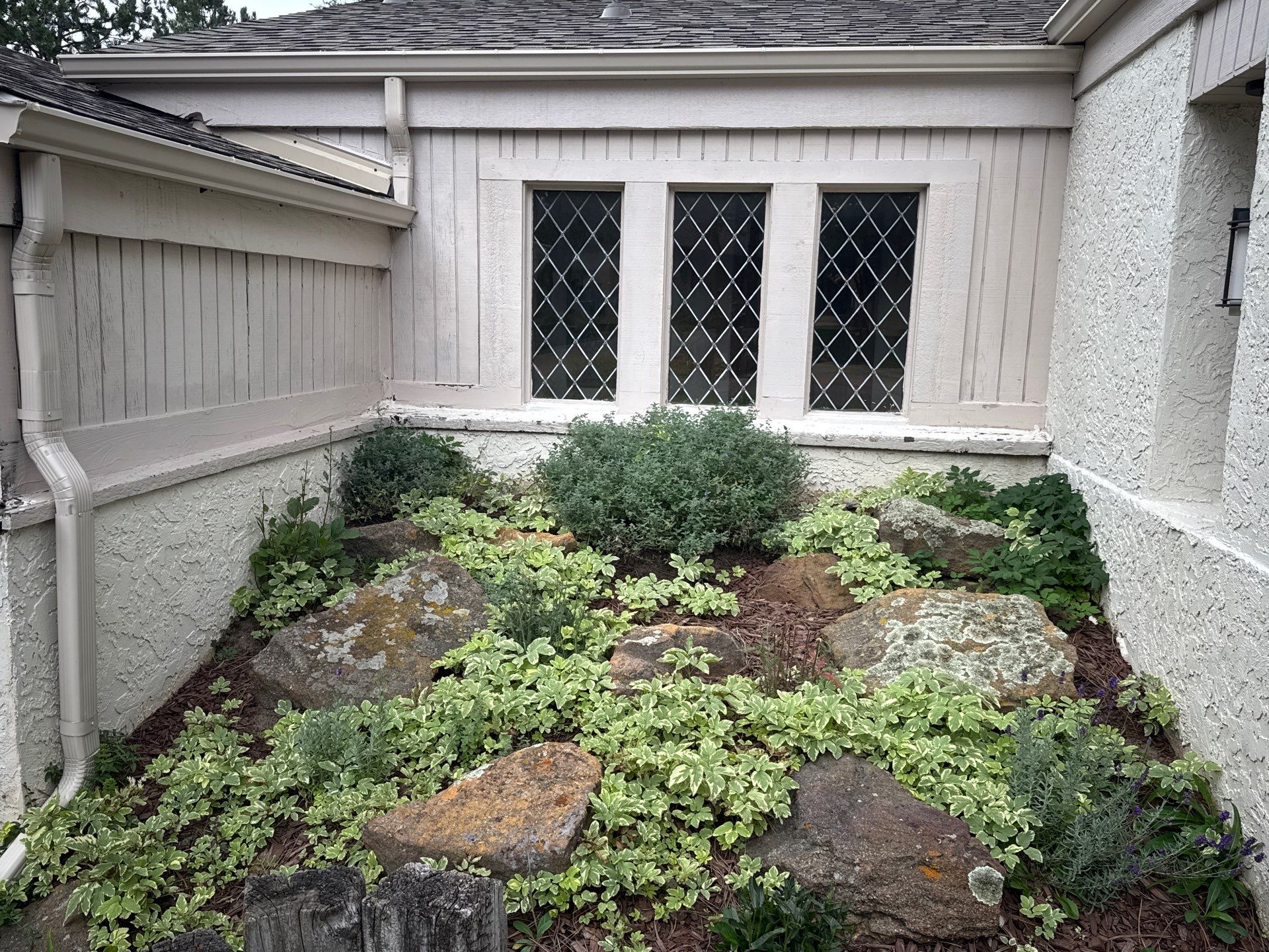 Siding Restoration in Rockrimmon by Carroll Painting LLC
