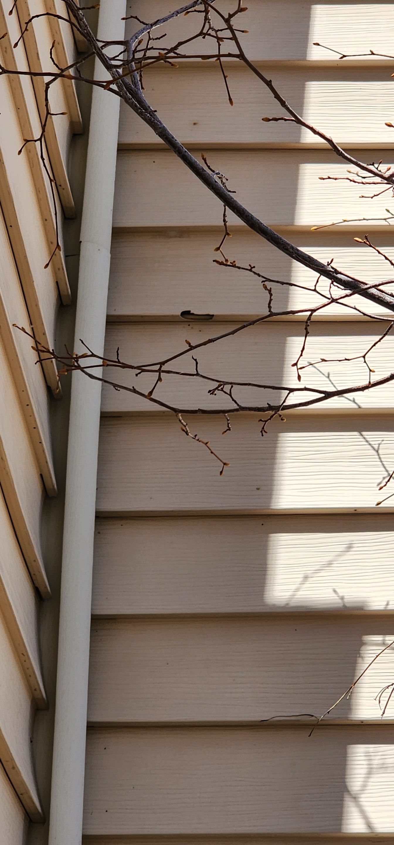 Hail Damage Inspection by 1st choice windows and siding