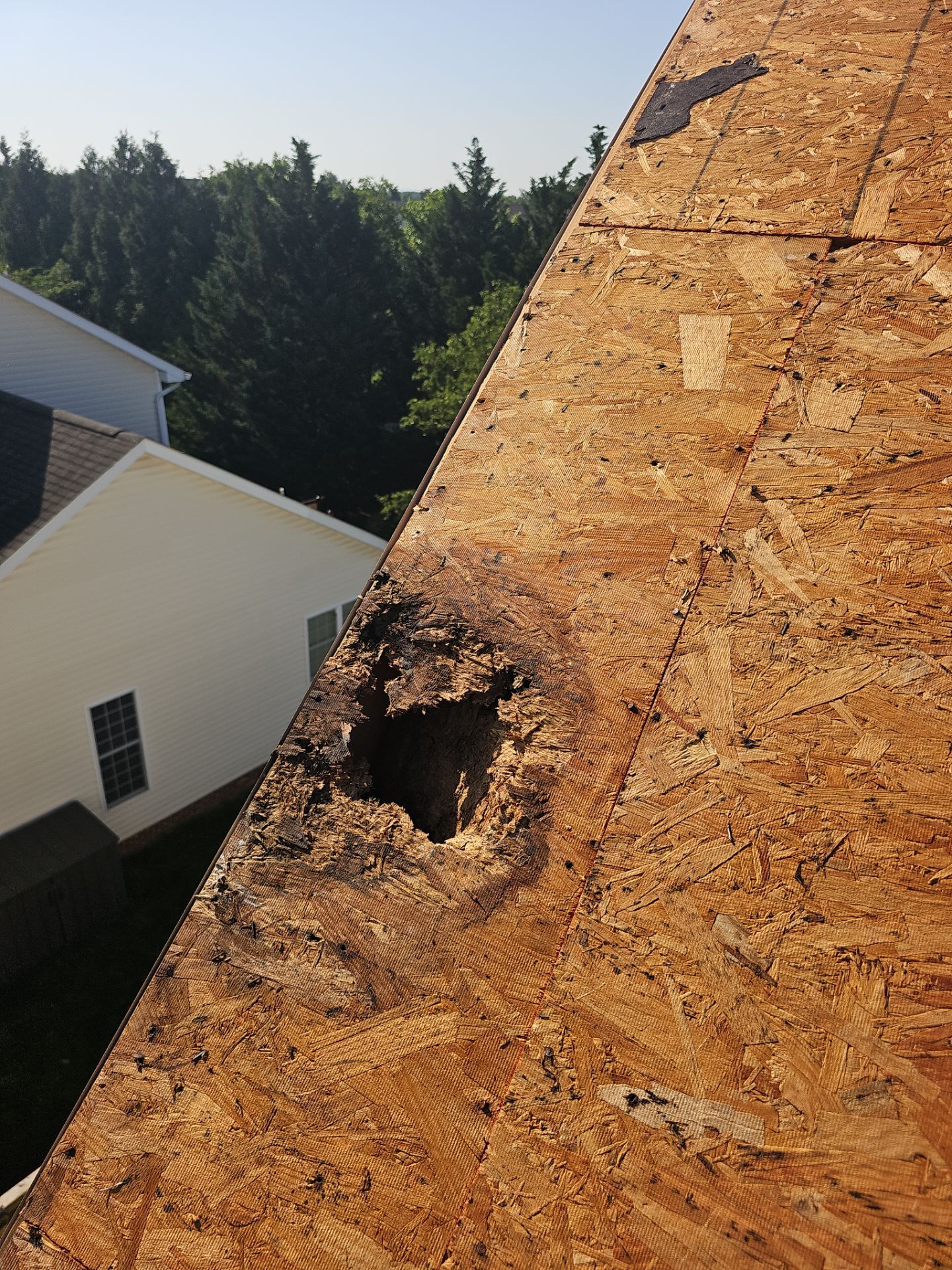 Roof Replacement - Espresso by Winchester Roofing