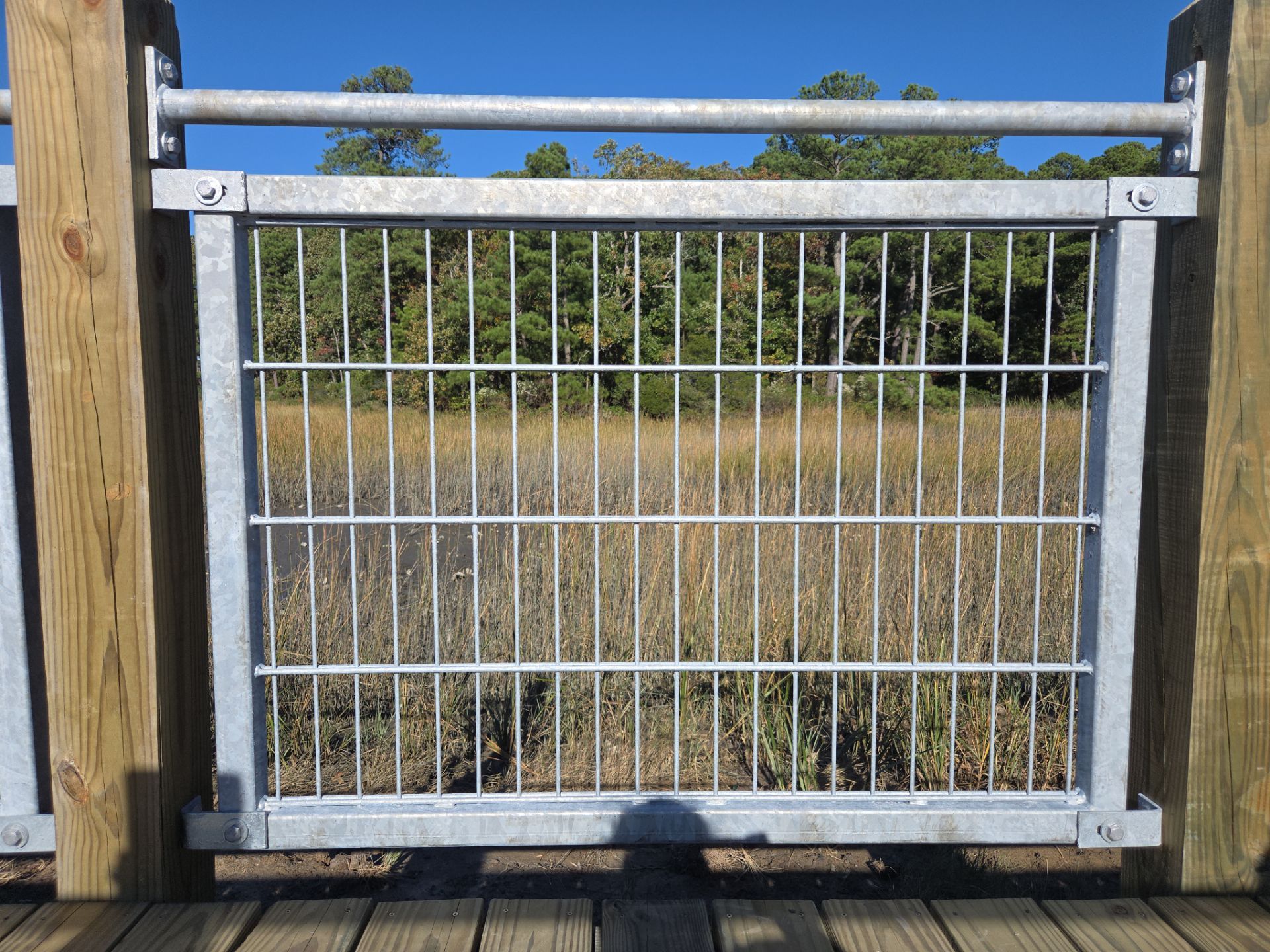 Project in Virginia Beach by Gregory Sandstrom