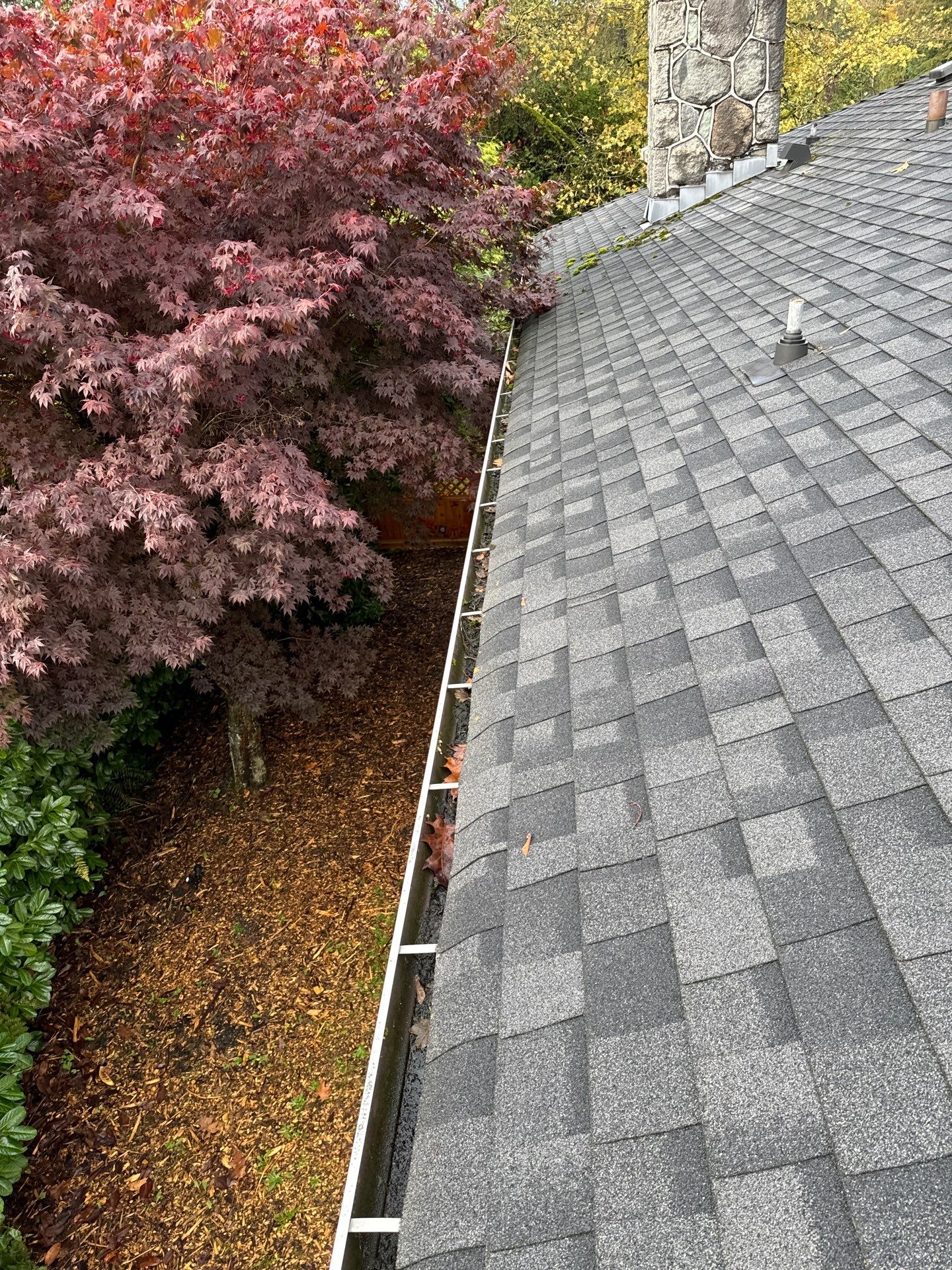 Gutter Cleaning- Taylor Way by YVR Construction Group