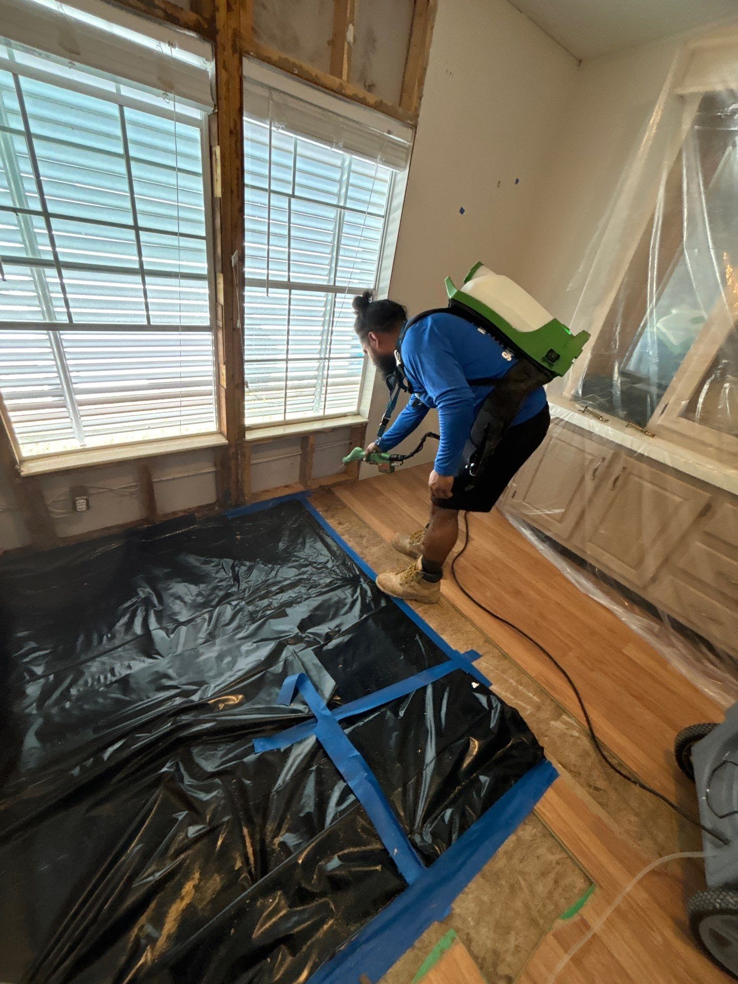 Mold Remediation Palmetto by Ampm Restoration Services 