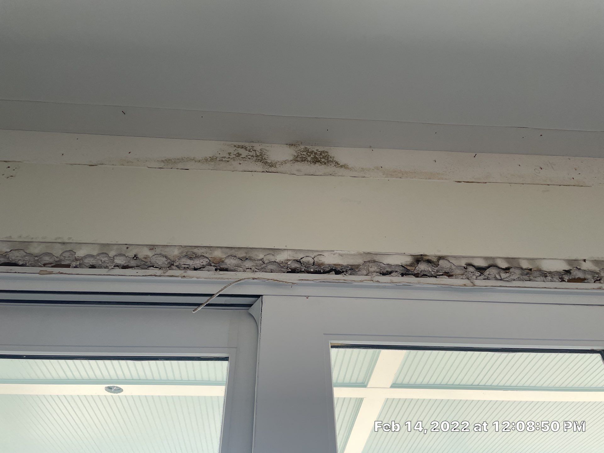 Luxury Home - Owners find termites and need interior selective demo, prior to repairs. by EAS Environmental, LLC.
