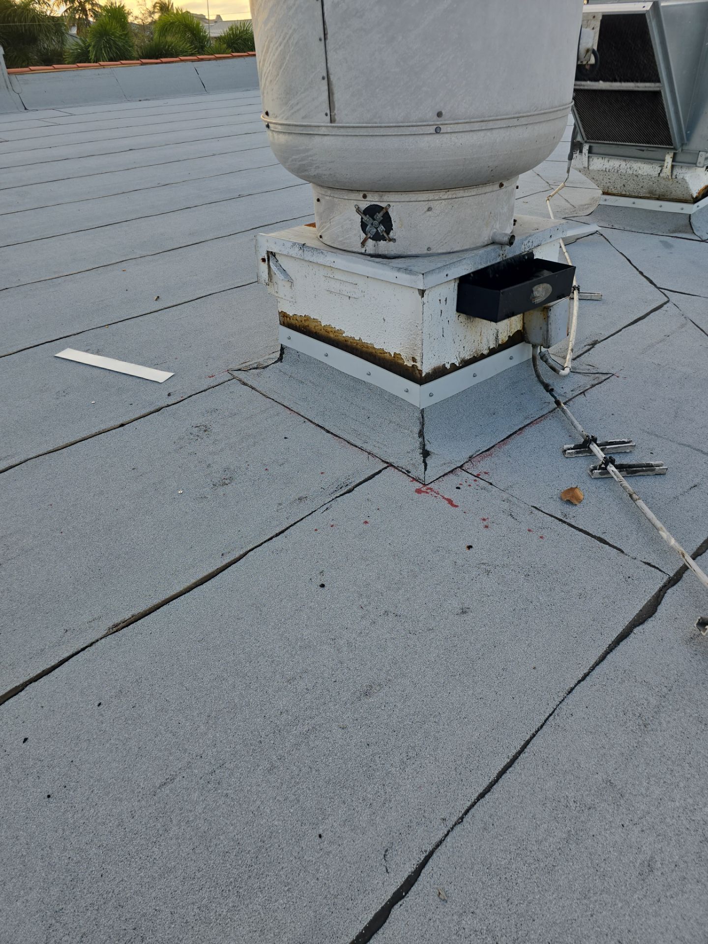 Torch Applied Modified Bitumen Roof Replacement by Sailfish Roofing