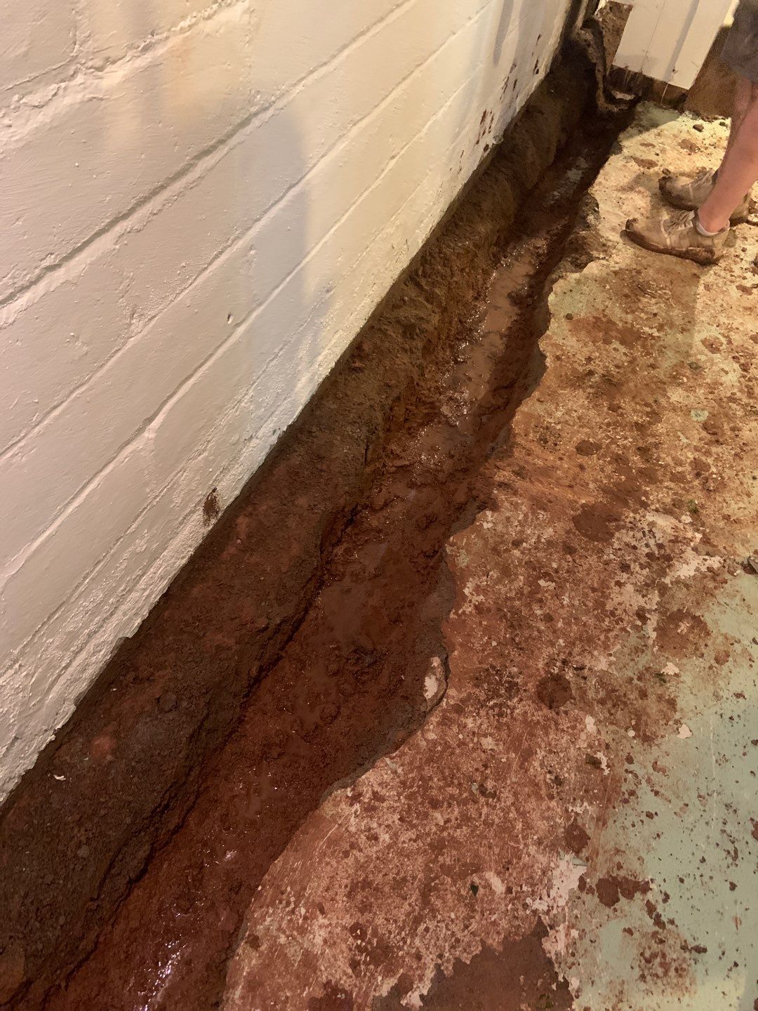 Helping Diane Protect Her Home by Waterproofing Northeast