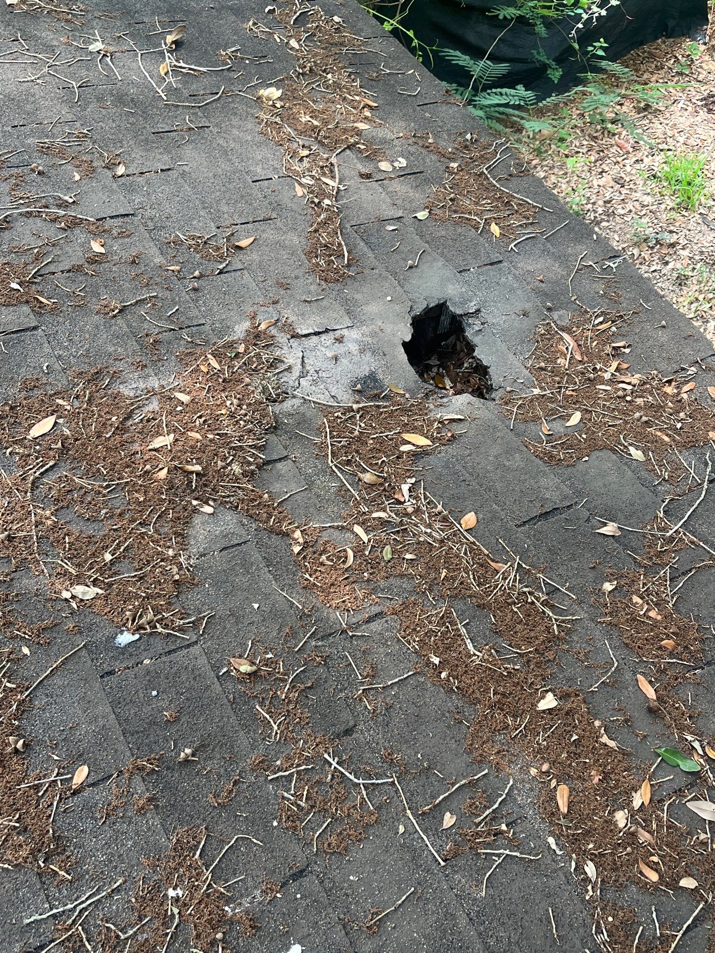 Residential Roofing Repair using Owen's Corning Duration (Lifetime) Shingles by Roof Repair Company