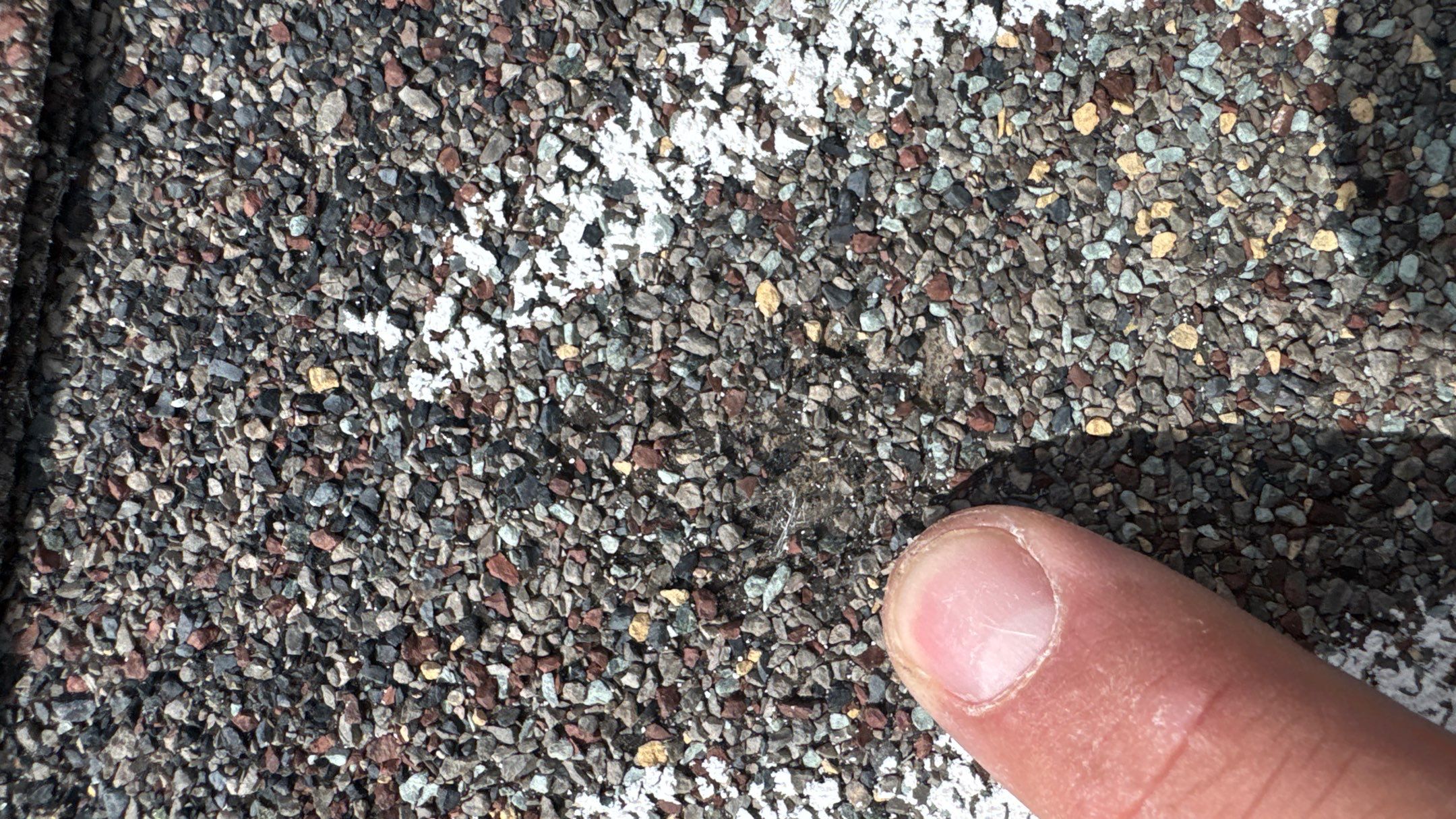 Euroshield in the Black Hills by Weather-Tite Exteriors LLC