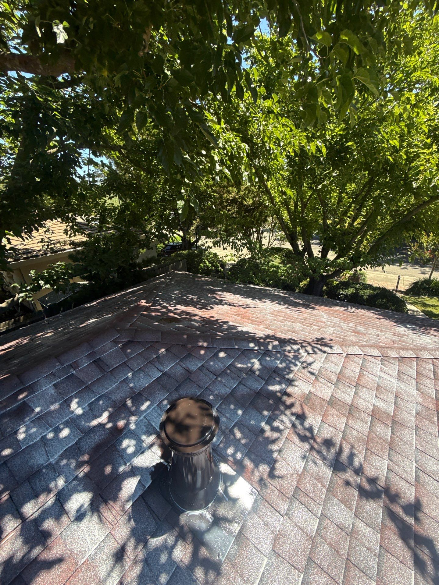 Roof Rejuvenation using Roof Maxx Treatment by Roof Maxx of Folsom