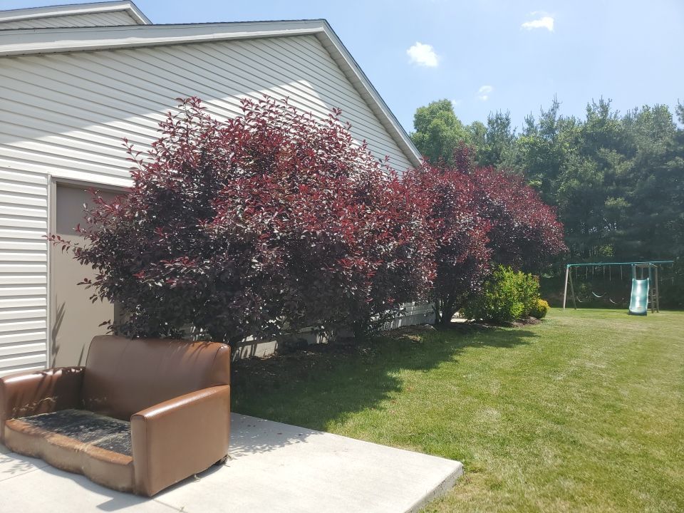 Tree Removal using Tree Removal by Mike Jones & Sons Tree Service LLC 