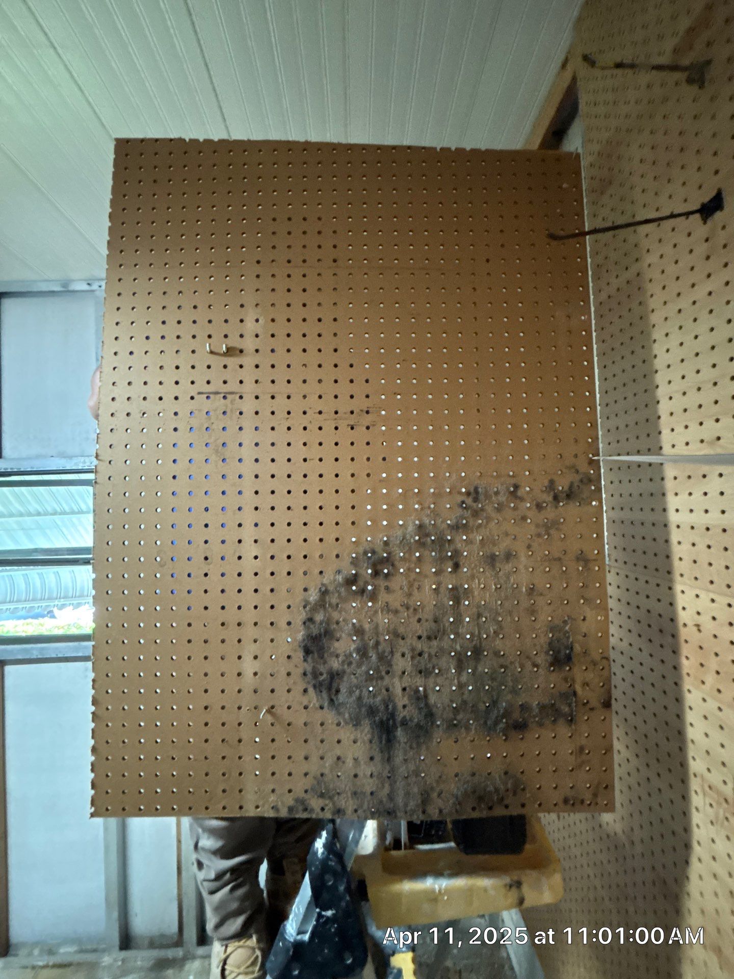 Mold Removal In Palmetto by Ampm Restoration Services