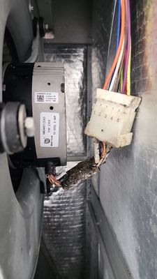 Suspect Mold growth in HVAC System