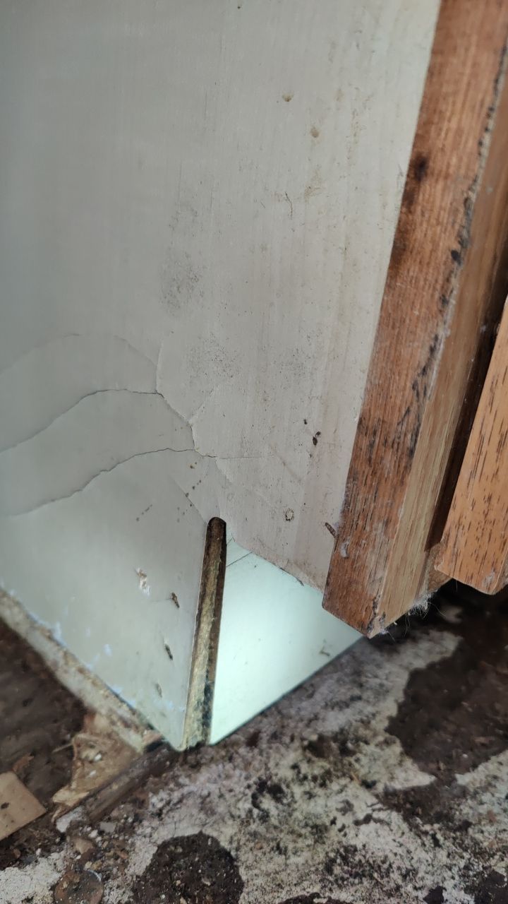 Mold Damage by Accountable Home Services