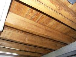 Mold Remediation Projects