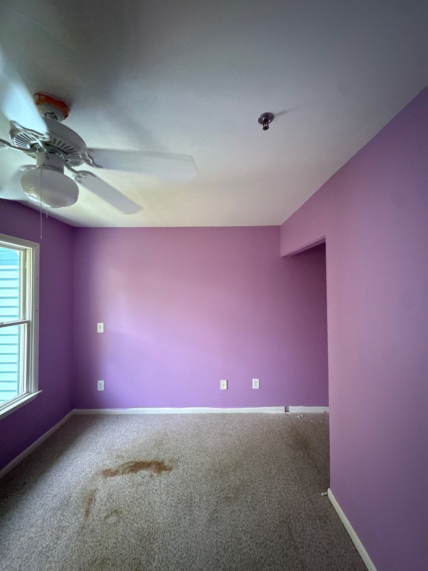 The Impact of Colorful Interior Painting by GonzalezPainters & Contractors Inc 