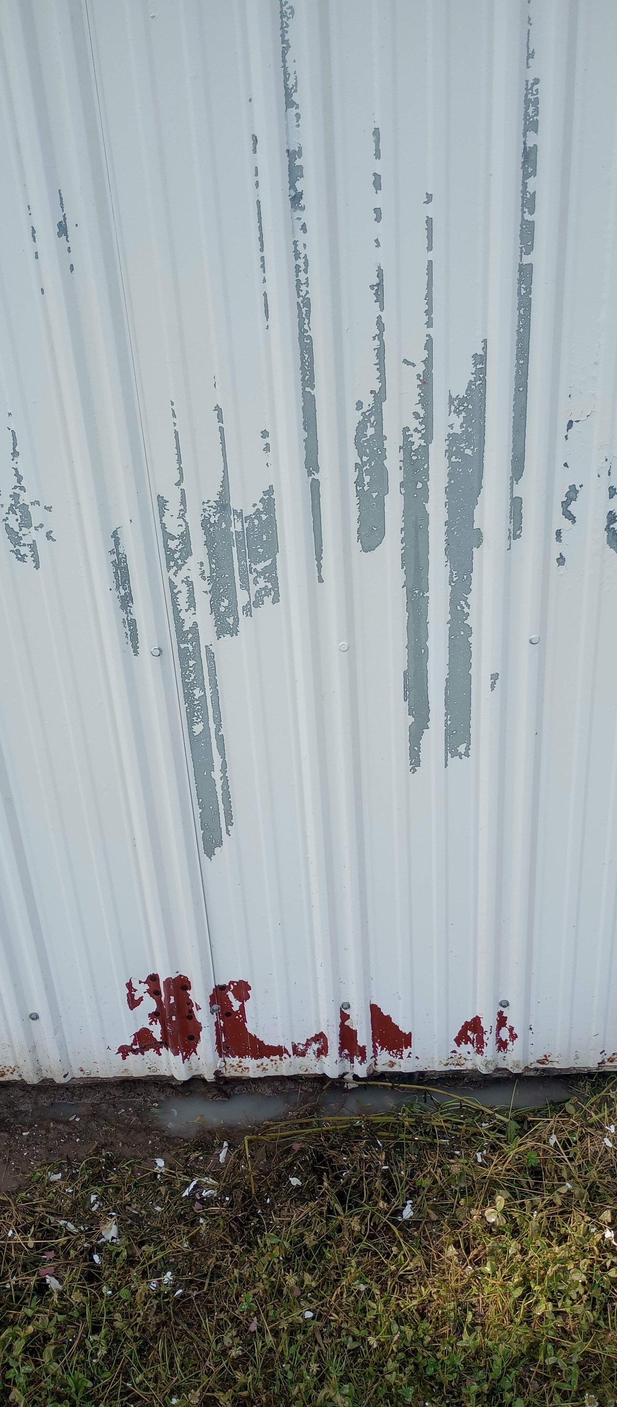 Outdoor Shed Project Near Chaffee by Duncan Painting And Wallcovering