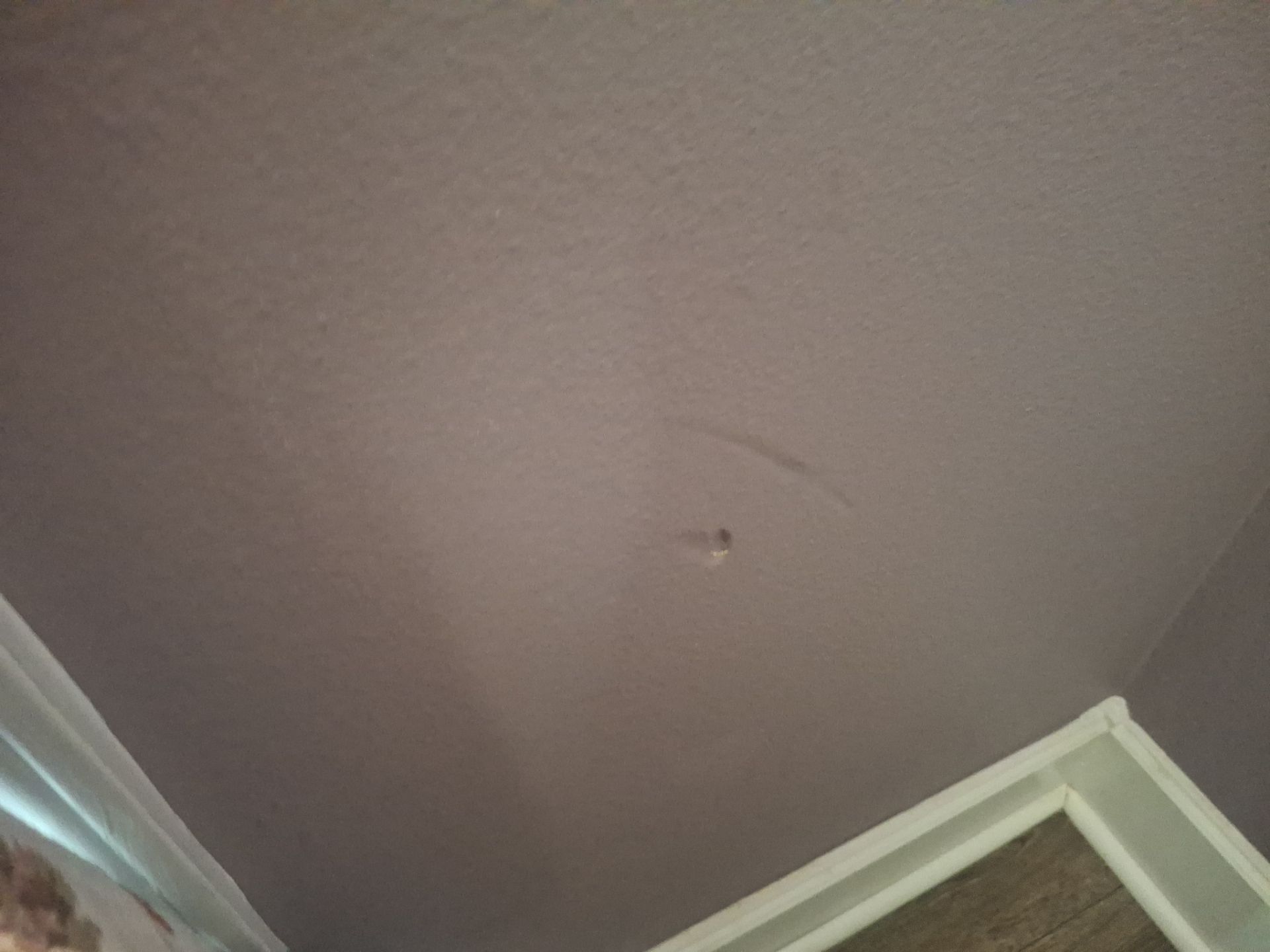 Extensive Interior Repair & Repaint in Tyler TX by Quality Coats Painting