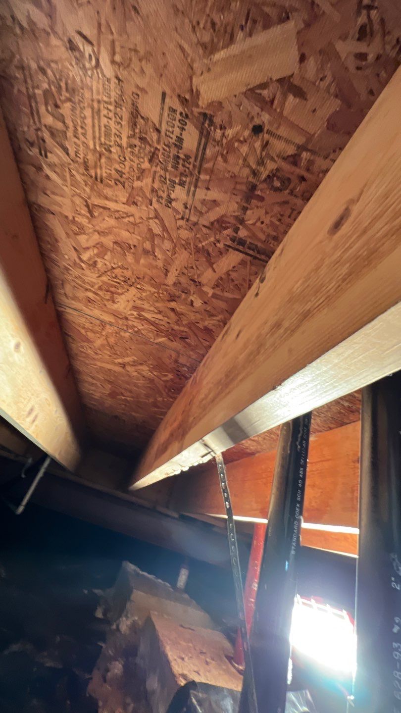 Mold Damage by Accountable Home Services