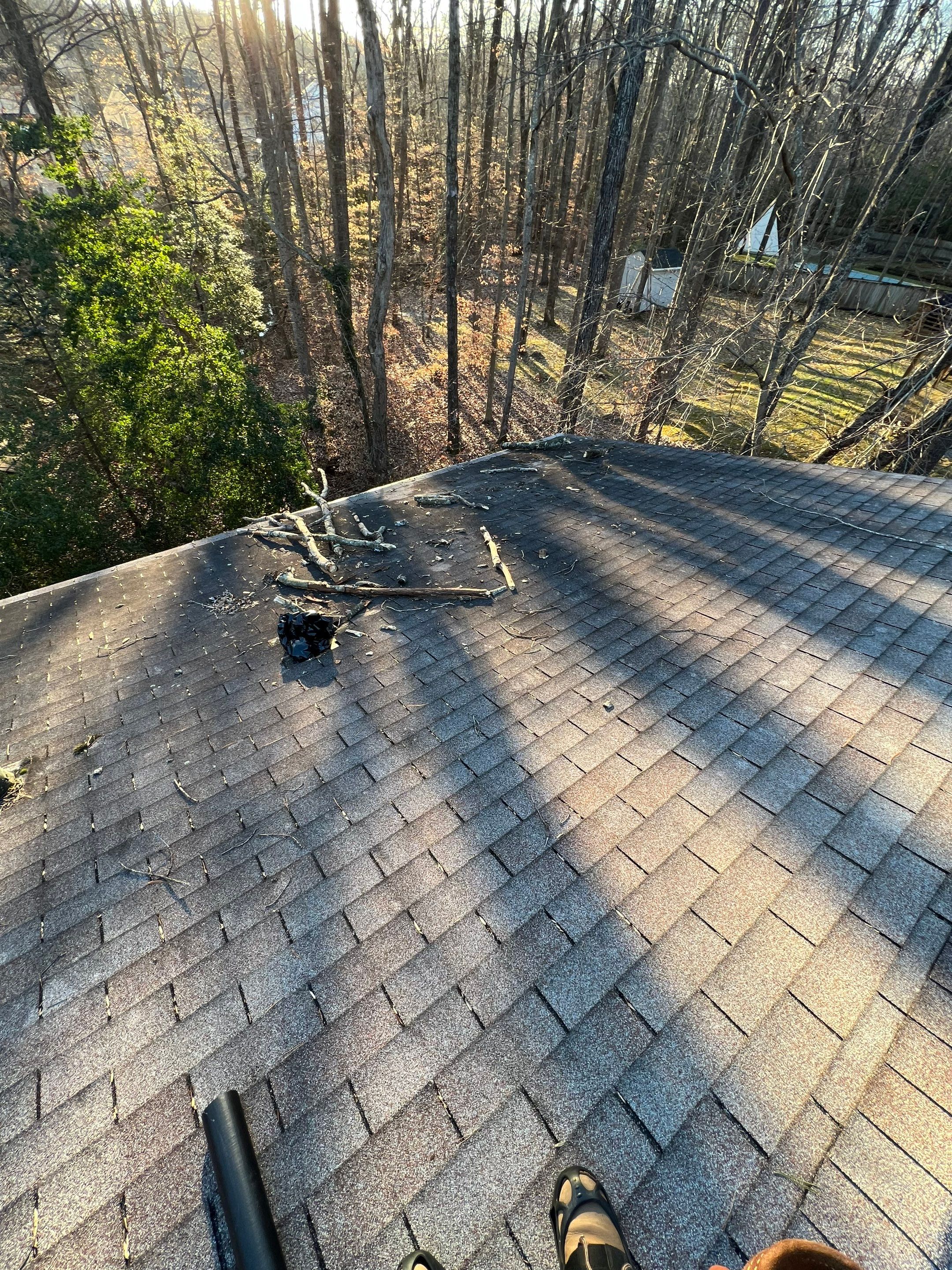Manassas: CertainTeed Landmark Designer Shingles in Charcoal Black by RM Banning, Inc.