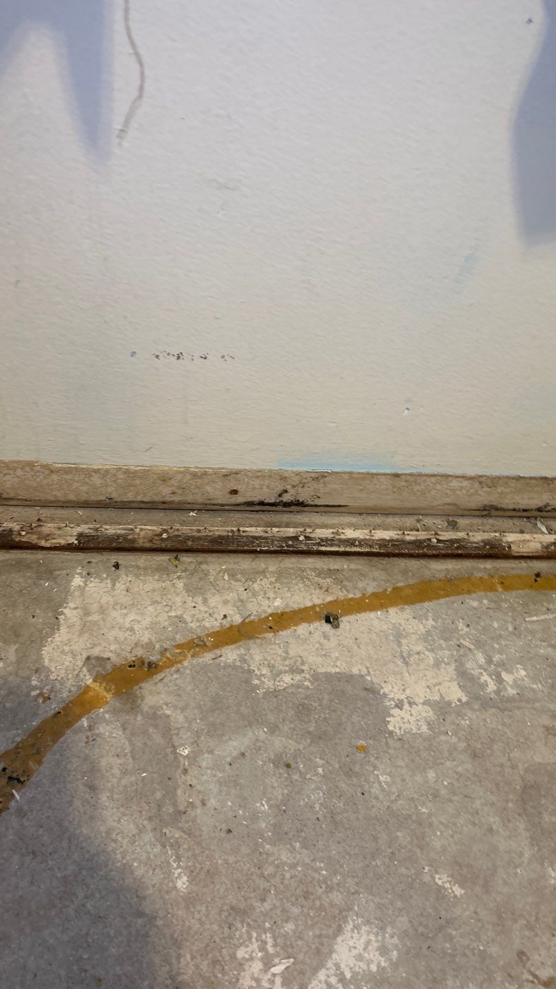 Mold Remediation by Accountable Home Services