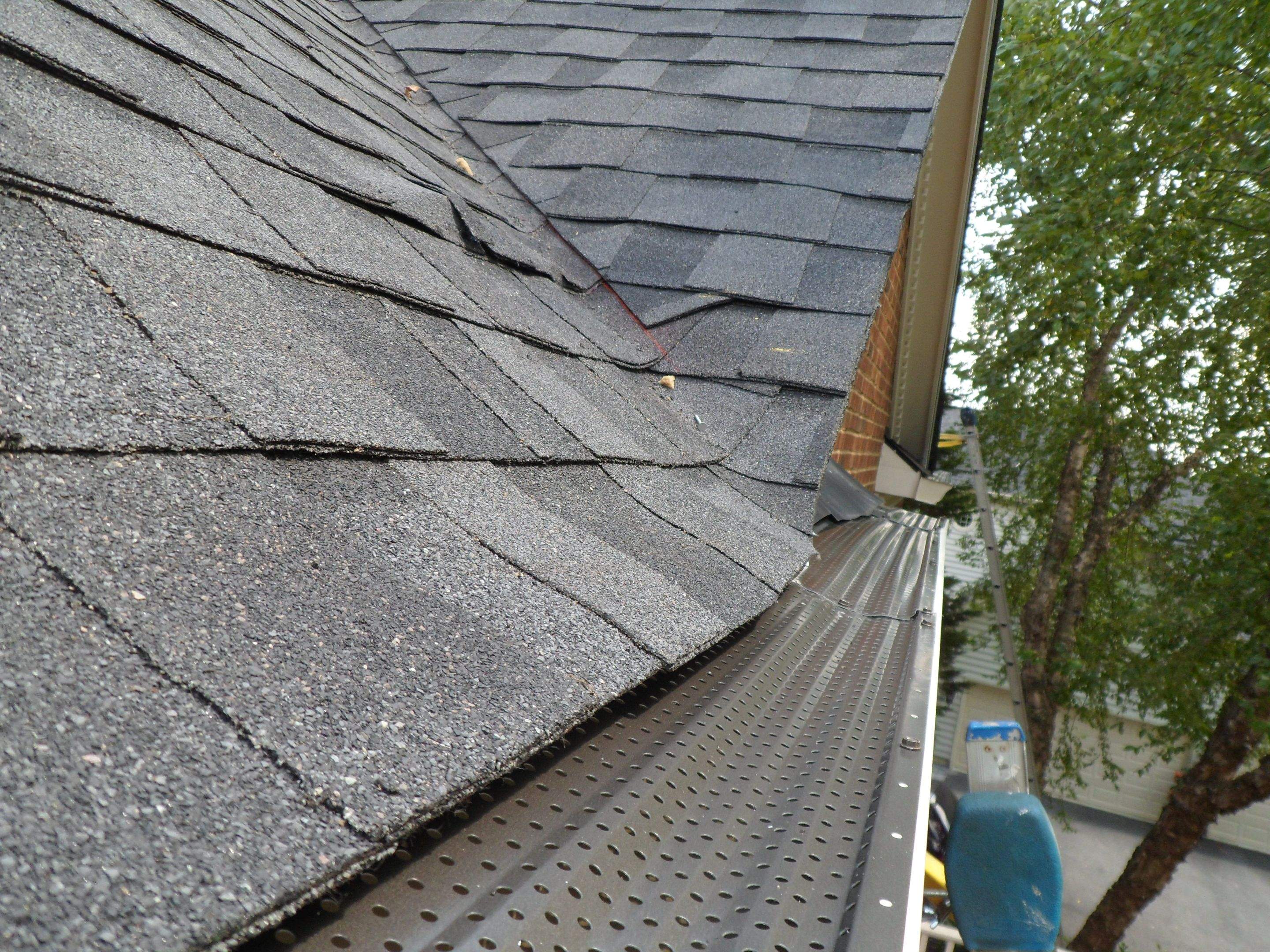 New Shingle Roof & New Gutters and downspouts with covers by Alpha Design Services