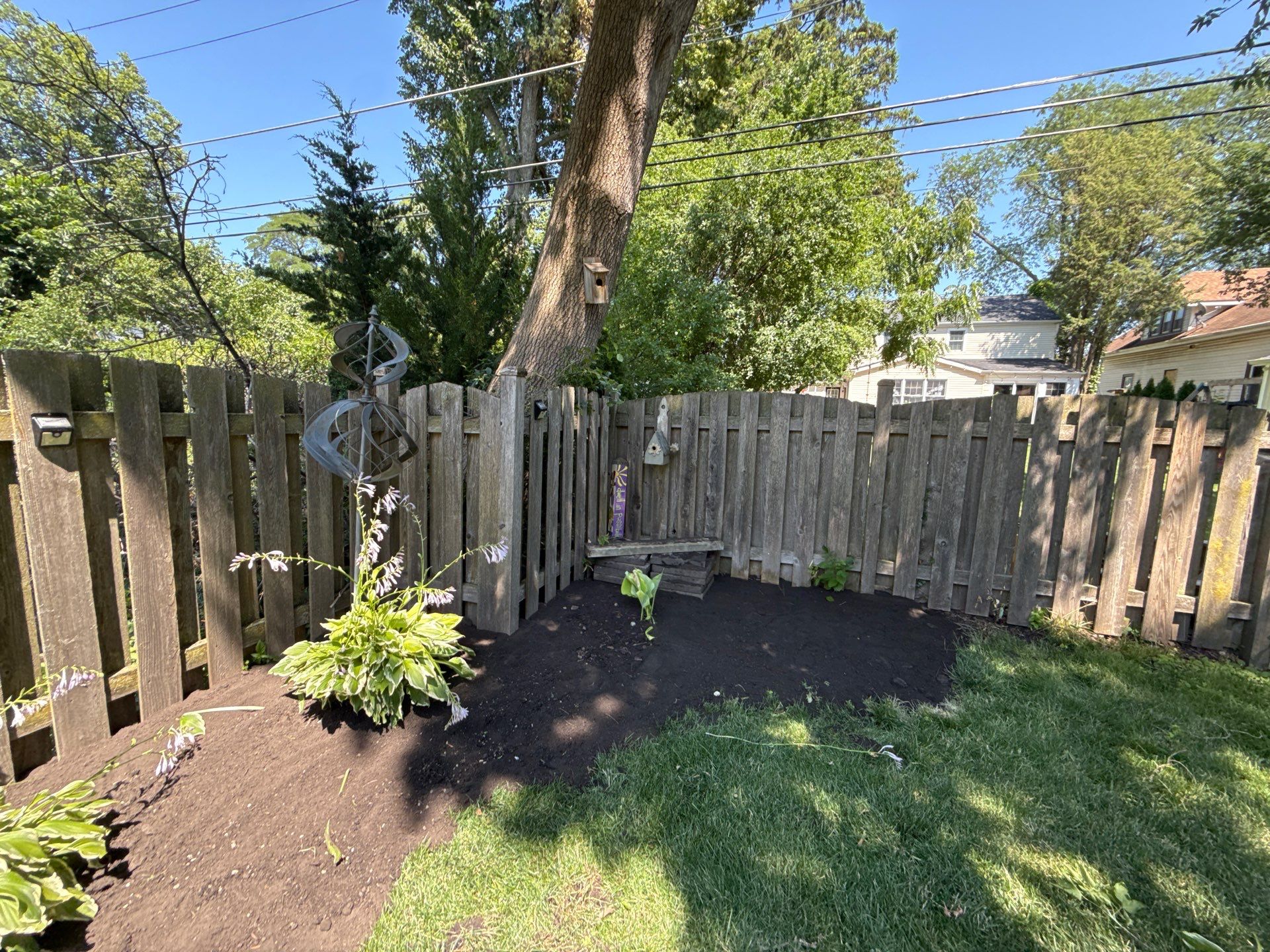 Tony B. - Arlington Heights, IL by A&N