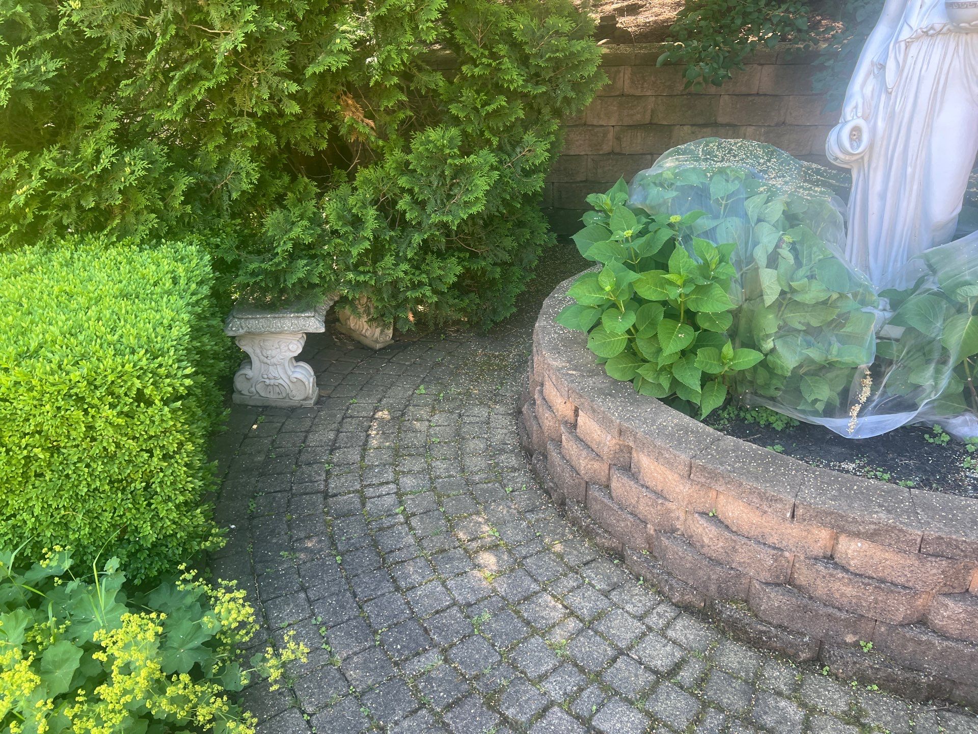 concrete cleaning using Algaecide, soft wash soap by Northern Power Washing LLC.
