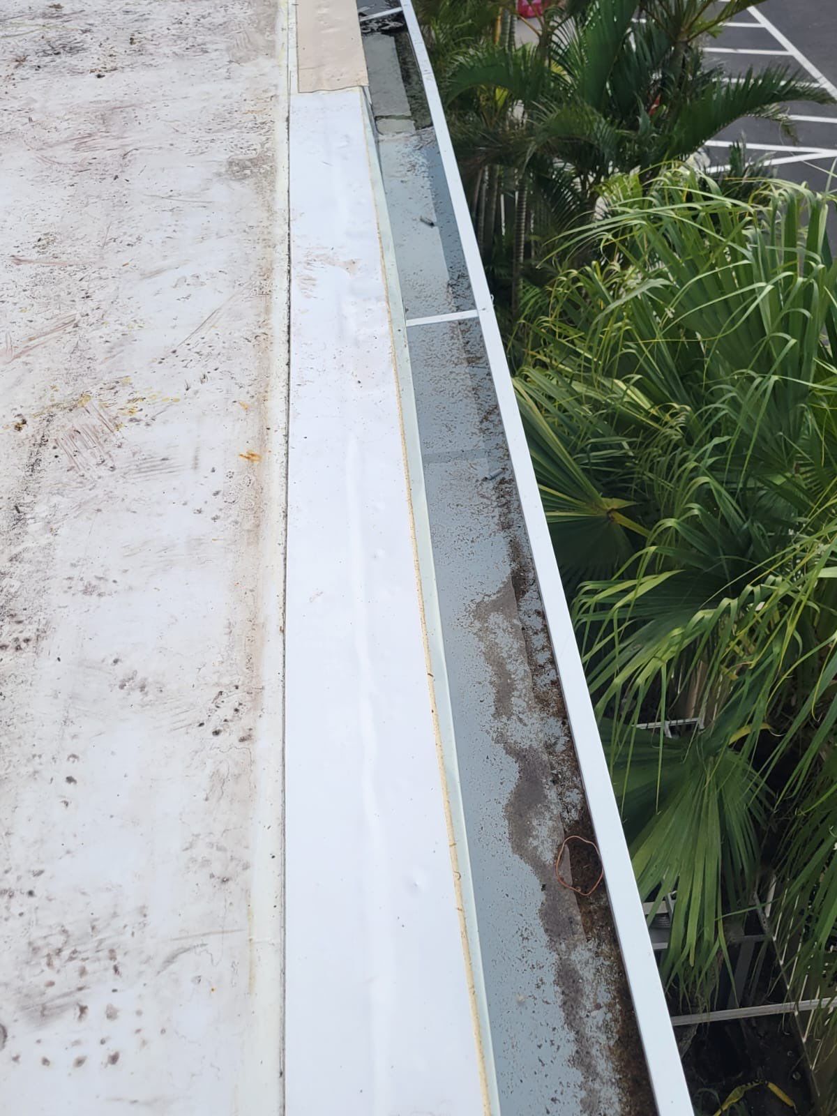 Emergency Repair on School from Storm Damage by Four Peaks Roofing