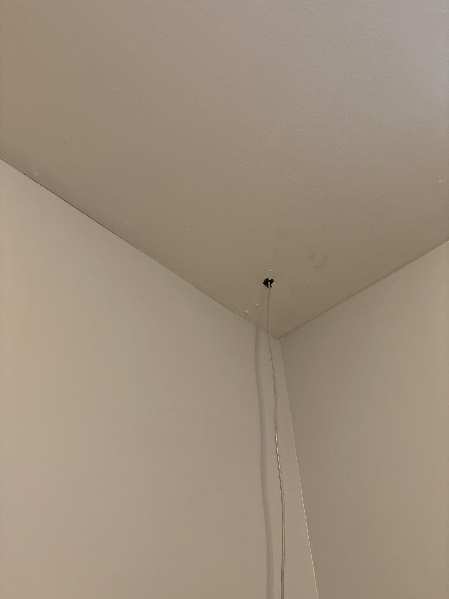 Interior Electrical Rewiring and Drywall Repair in Denver by CompanyCam Sales Demo
