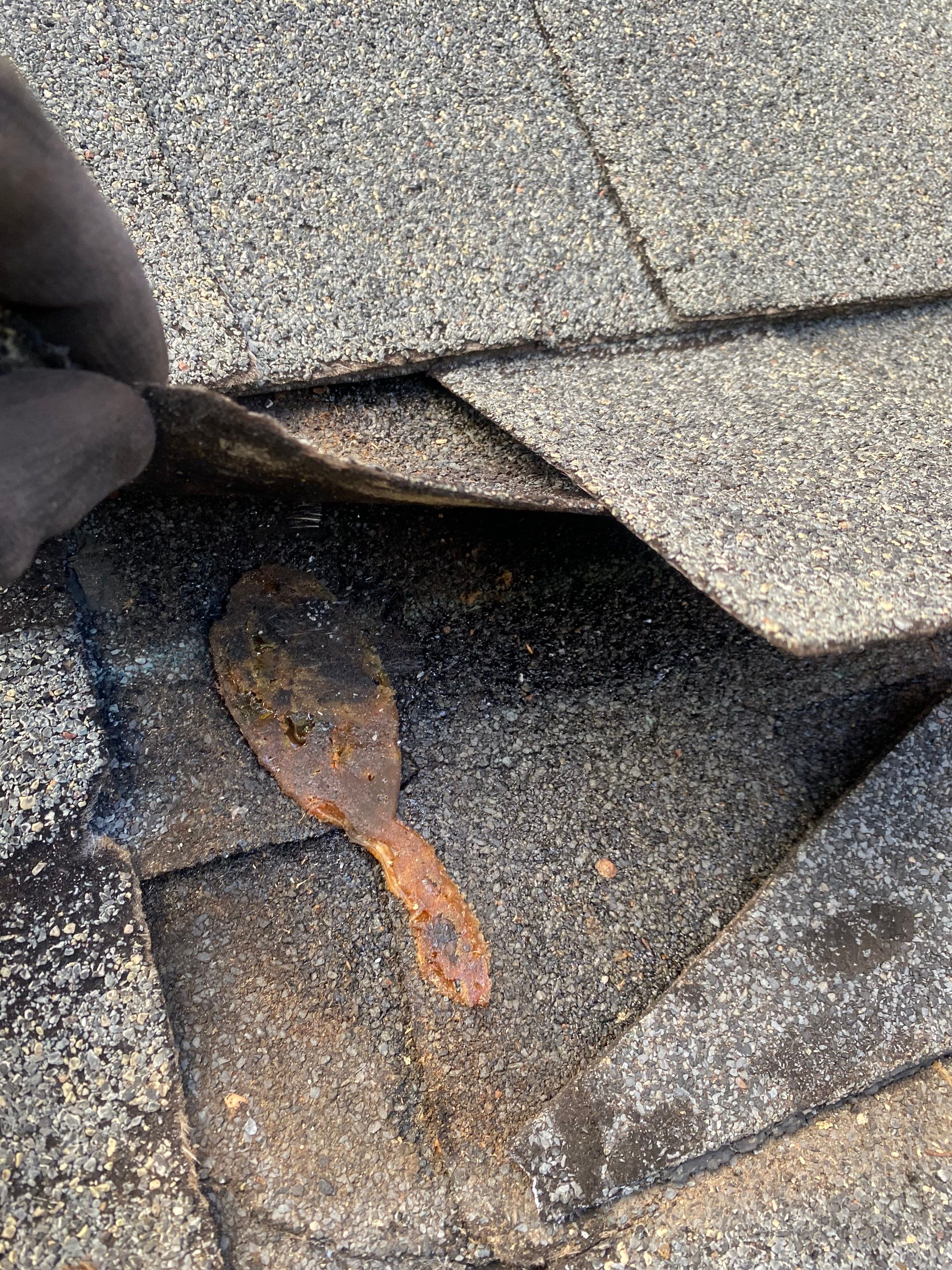 CertainTeed Shake Installed! 🔨🏠 by Georgia Roof Advisors