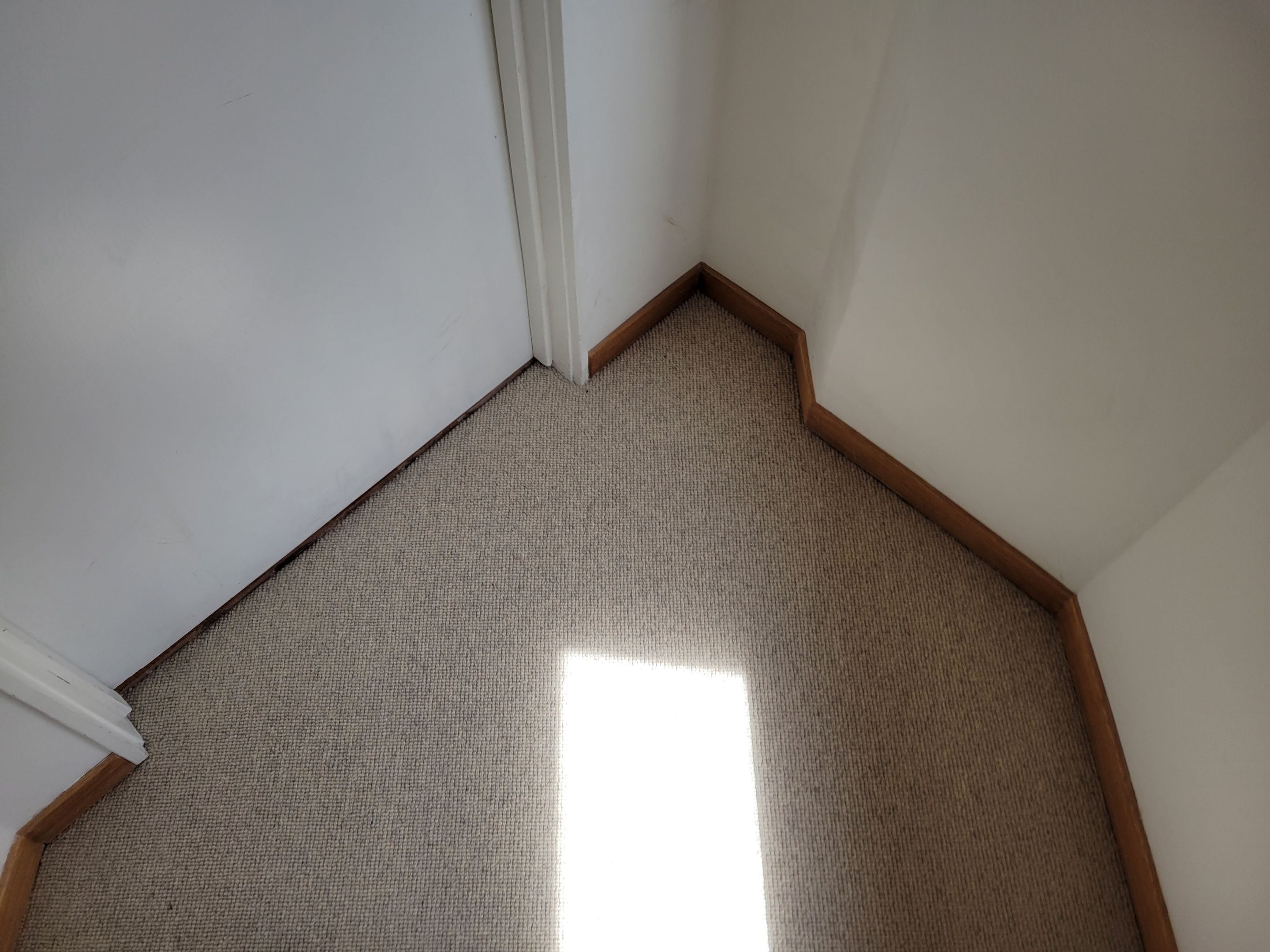 Repair and Cleaning of Wool Carpeting by Ardent Carpet Restore LLC