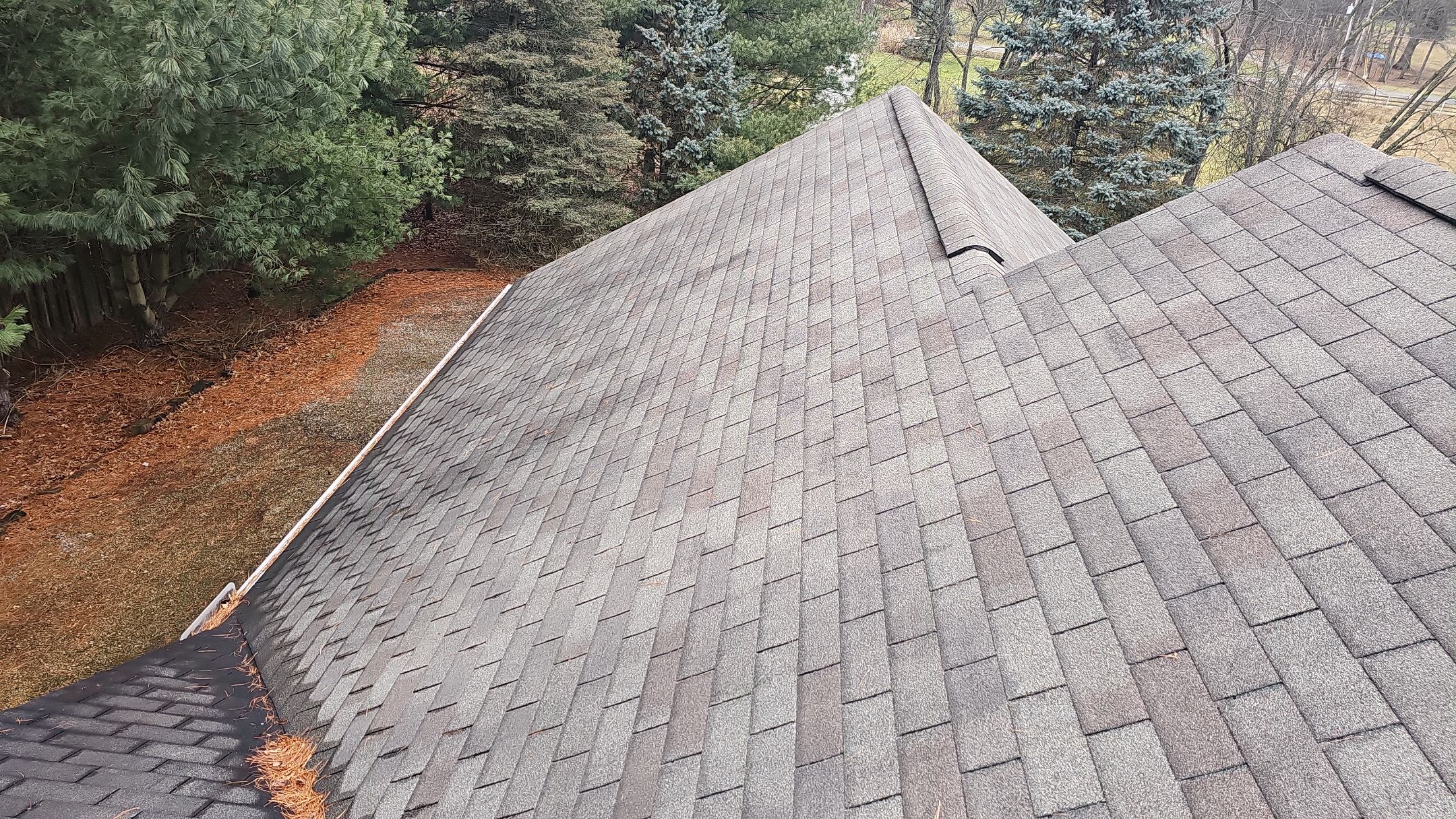 Alpha Rib, Color: Forest Green by Eagle Eye Roofing