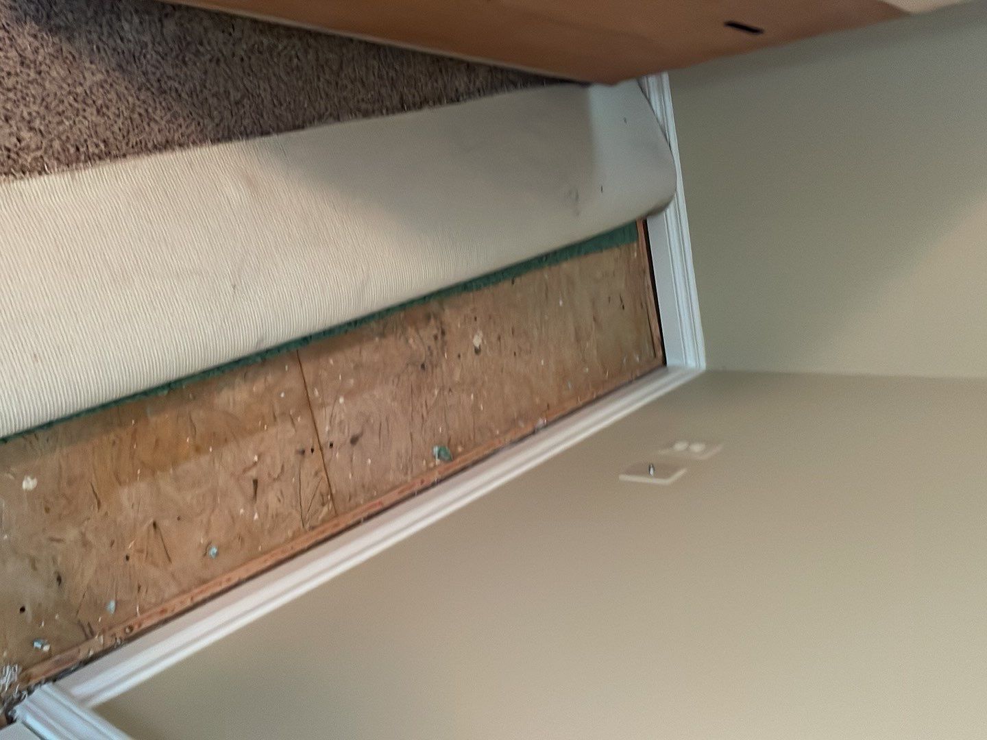 Project in Novi by EzDry Water Mitigation & Property Restoration