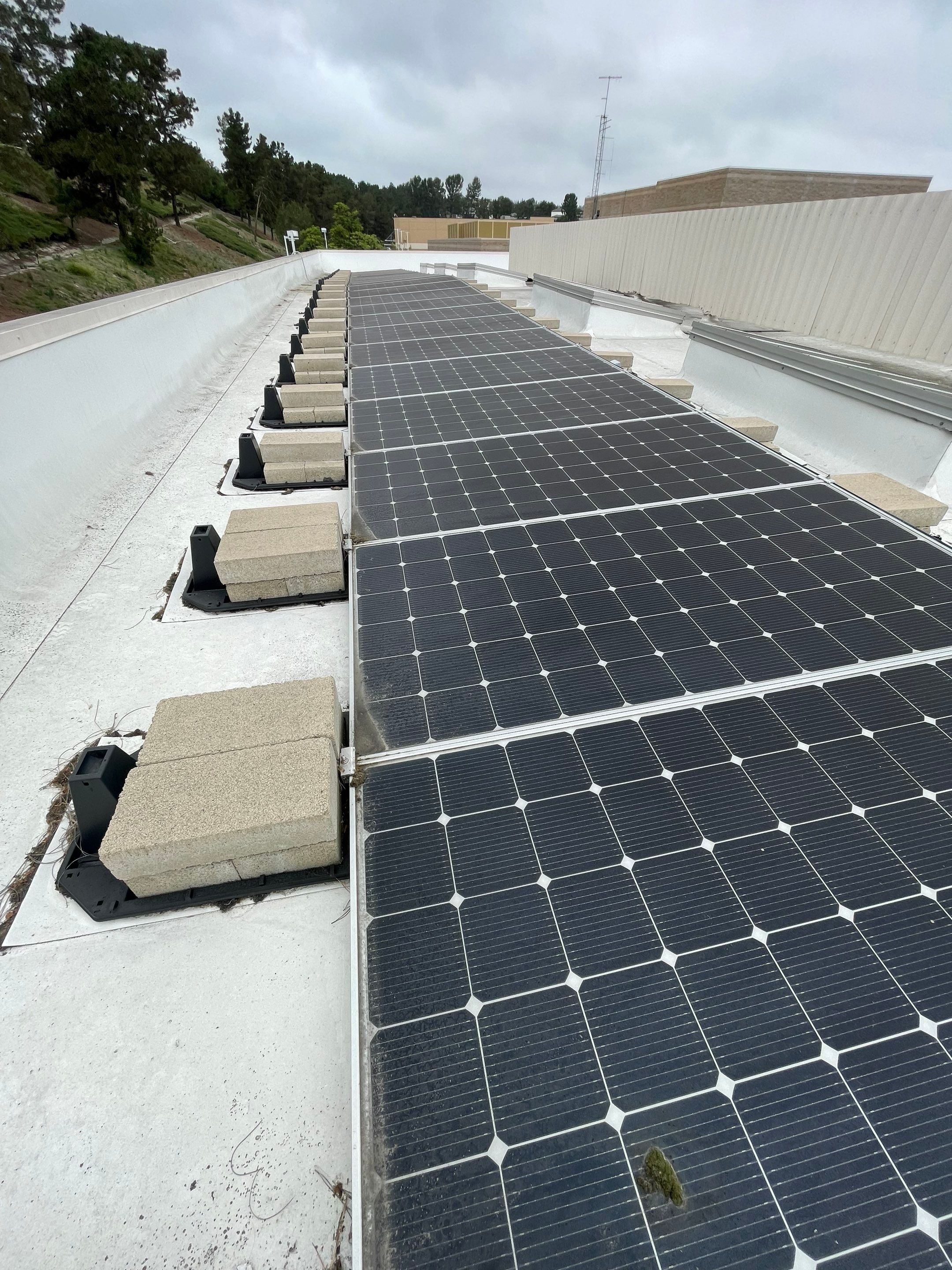 Commercial Solar Cleaning by Palm Coast Solar Cleaning