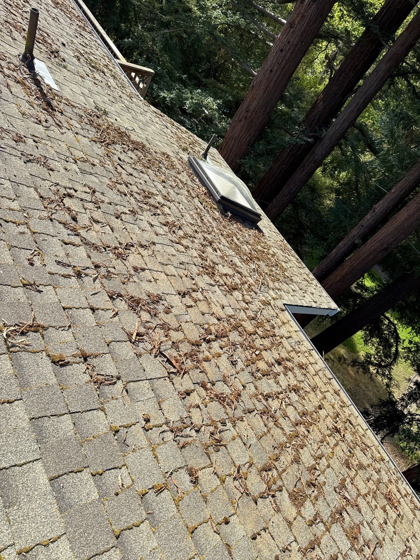 Soft Wash by Top Elevation