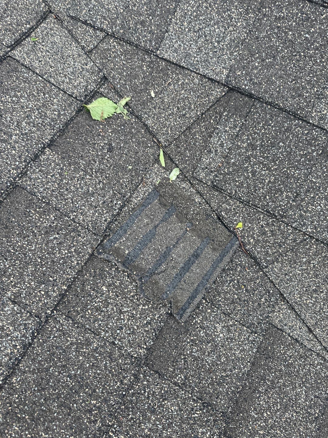 Residential Roofing Repair using Owen's Corning Duration (Lifetime) Shingles by Roof Repair Services LLC