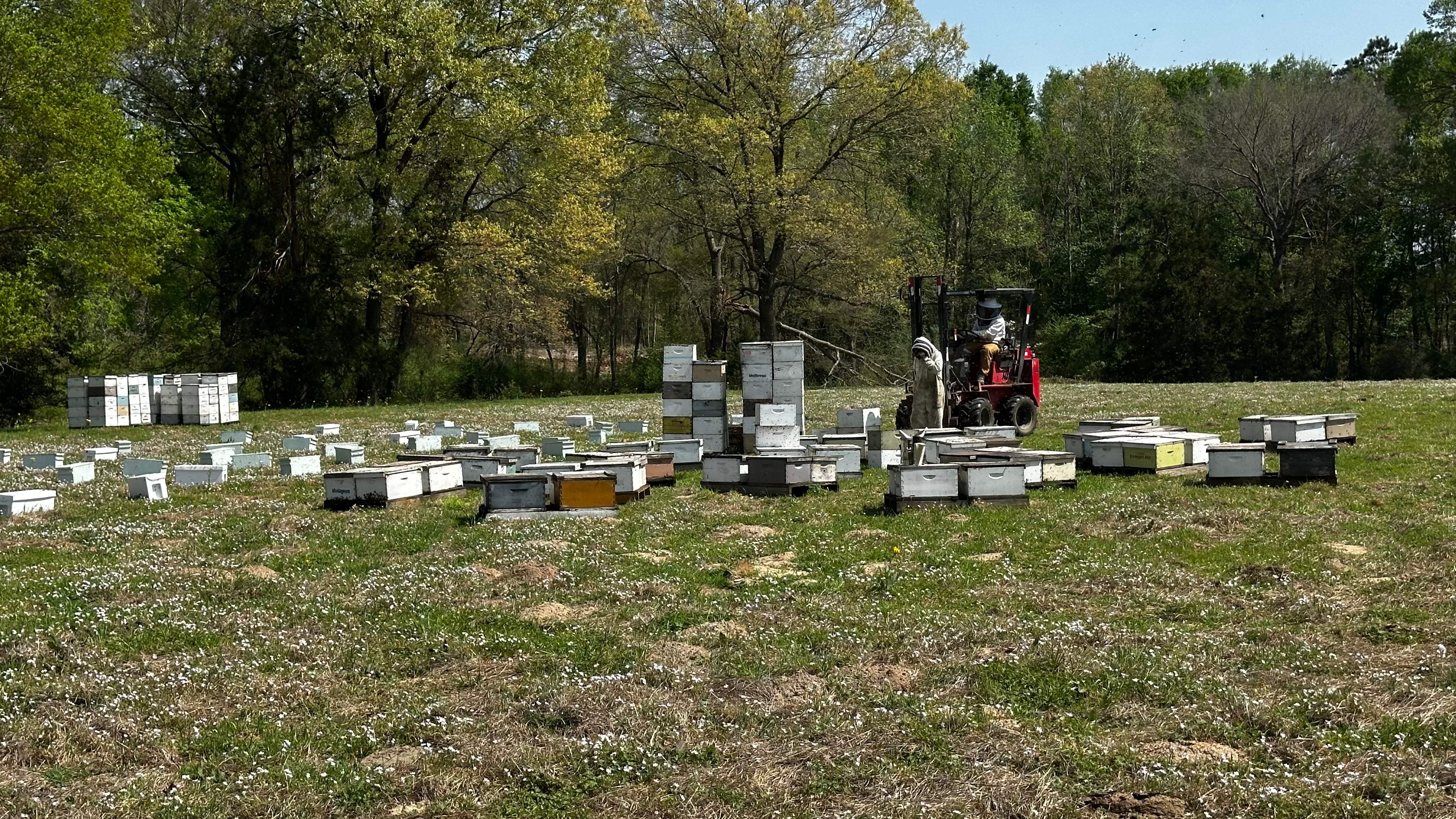 Traylor's Hay Meadow Apiary by Rockwall Honey Bee Company