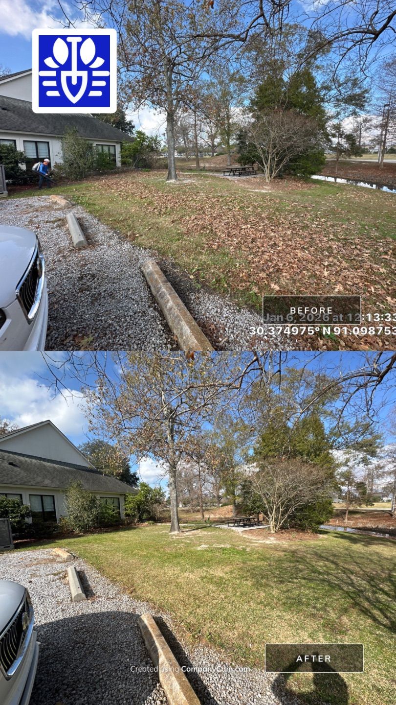 WINTER SERVICES: FULL LEAF JOB (COMMERCIAL) by CutScape, LLC.