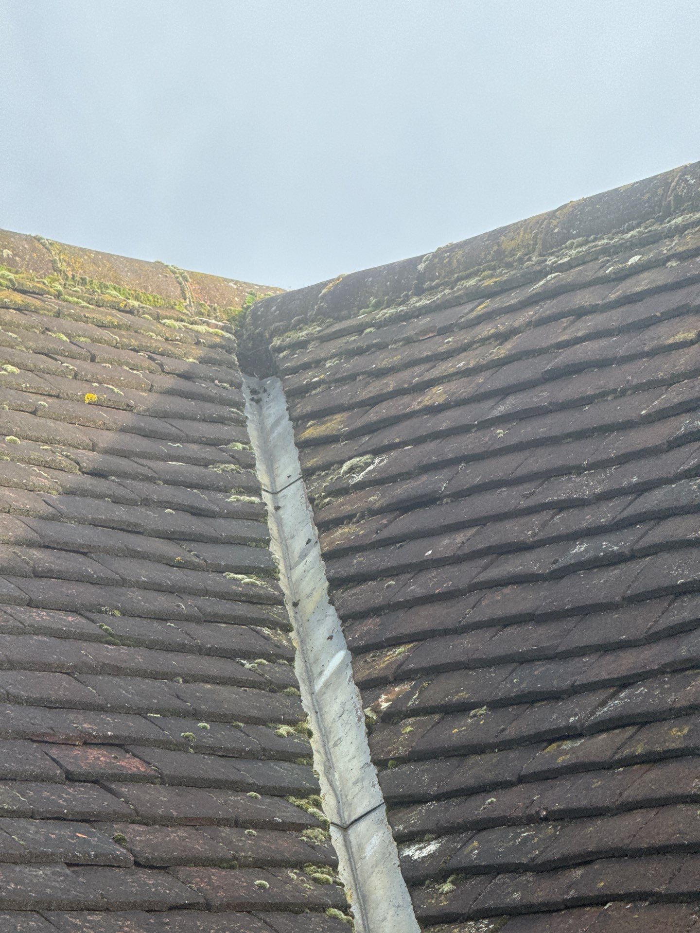 Exterior Clean - Roof - Patio - Driveway using Mosmatic FSC and Biocide by Ges Exterior Cleaning ltd
