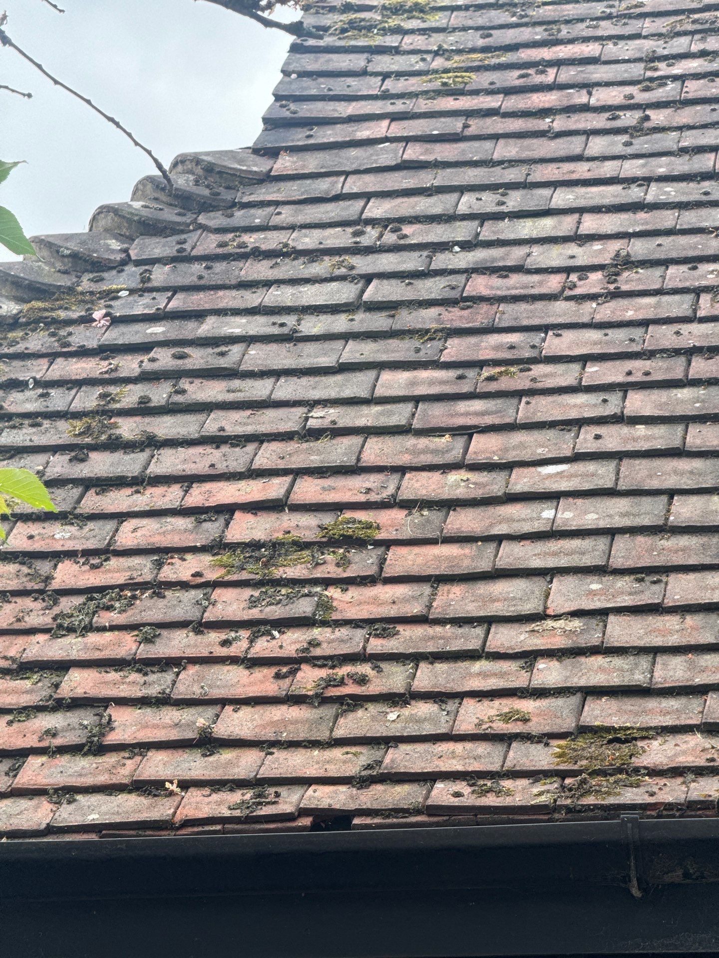 Roof Clean - Patio Clean using 18inch Whirlaway FSC by Ges Exterior Cleaning ltd
