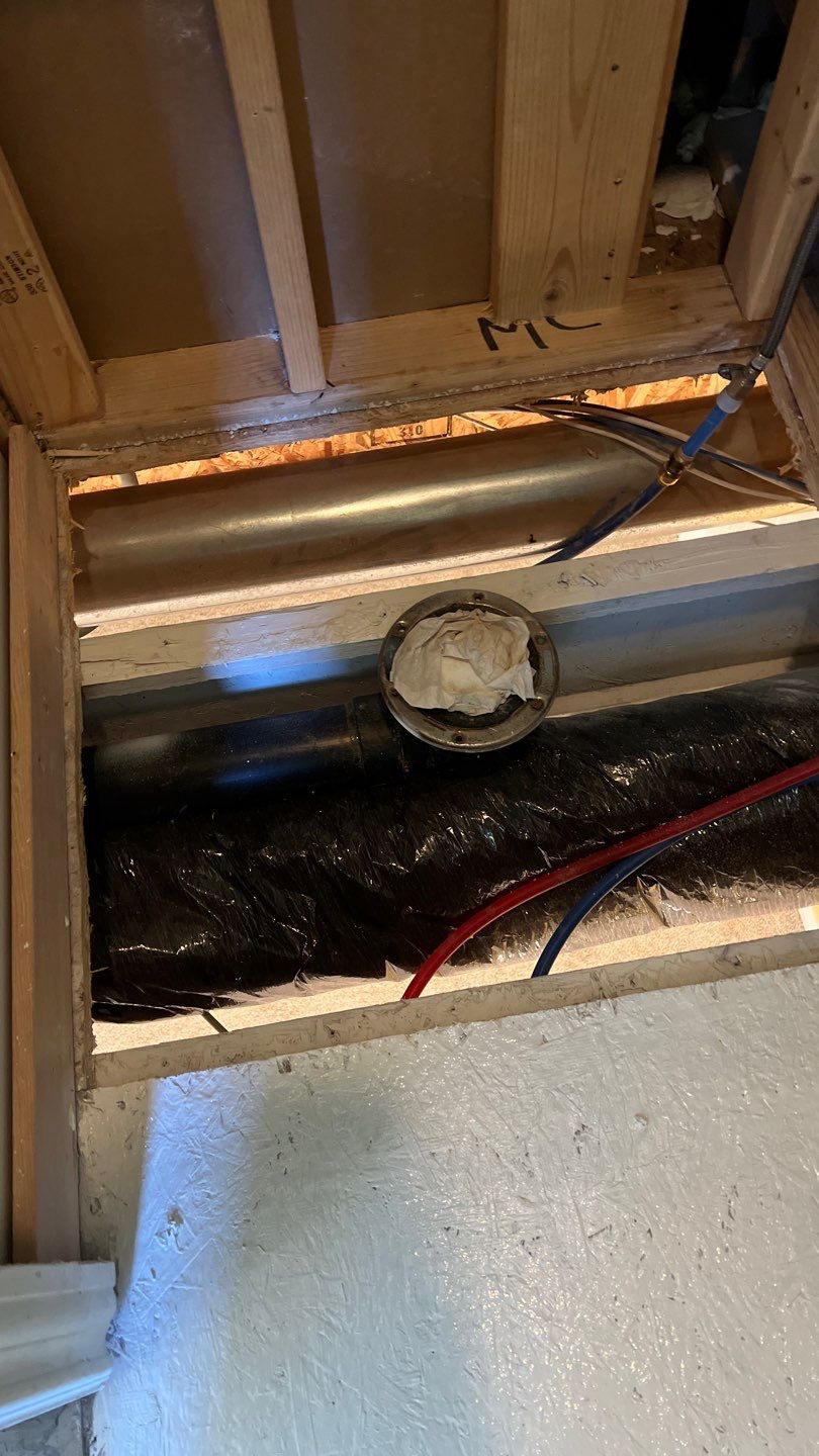 Mold Remediation by Accountable Home Services