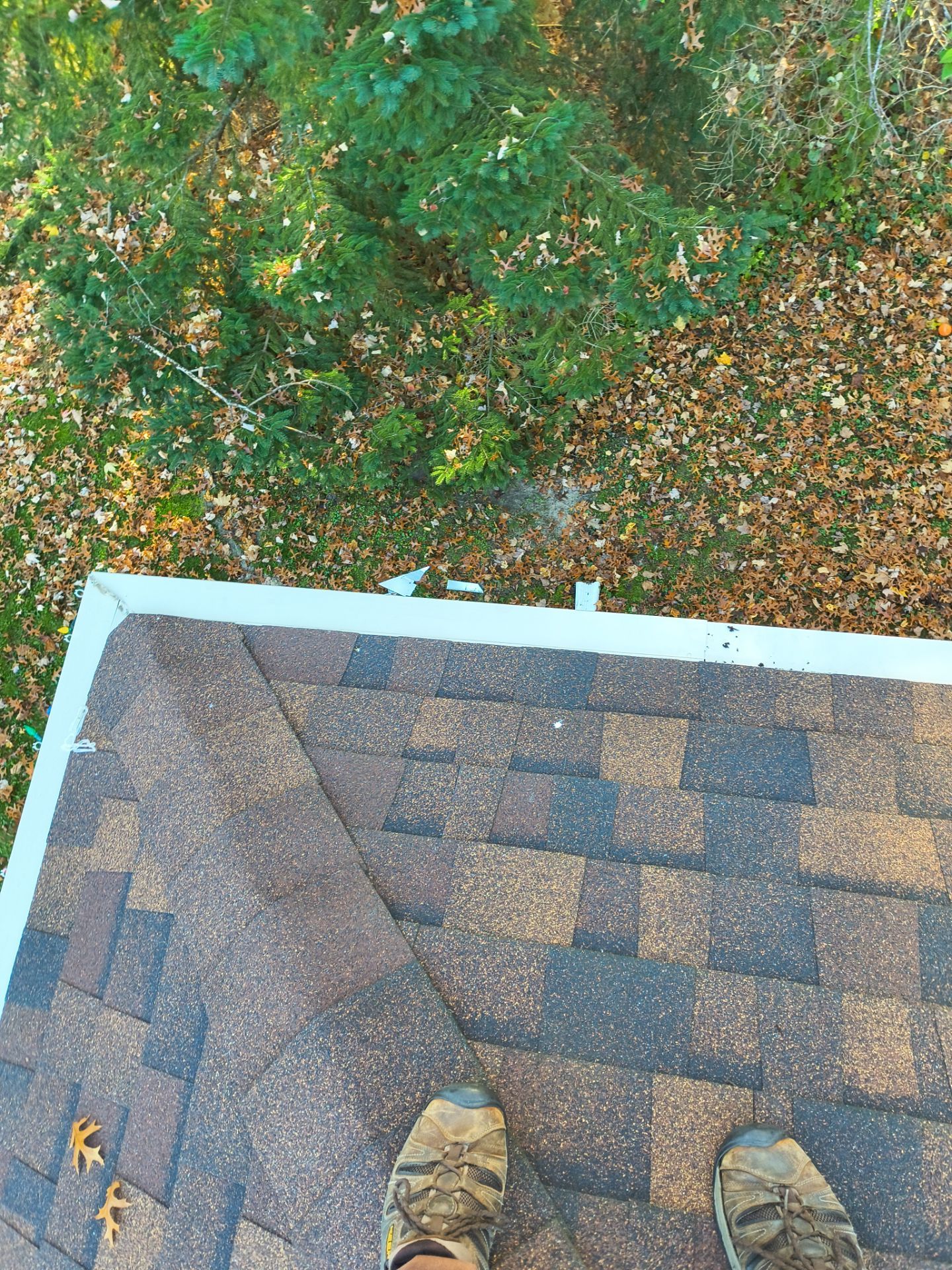 Leaf Sentry Gutter Covers Installed – River Falls, WI by Next Level Seamless Gutters / Exteriors Inc.