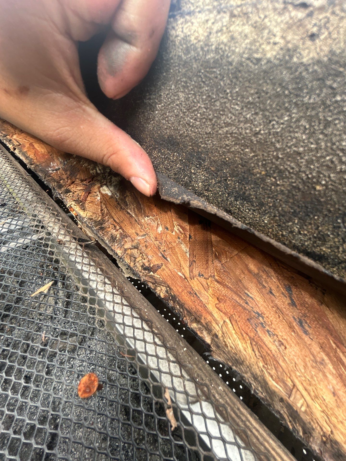 Woodbridge:Residential Roof Replacement with CertainTeed Landmark PRO in Max Def Moire Black  by RM Banning, Inc.