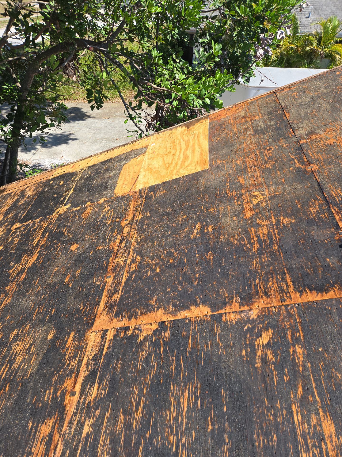 Project in Seminole 33777 by Mitchell Roofing Company LLC 