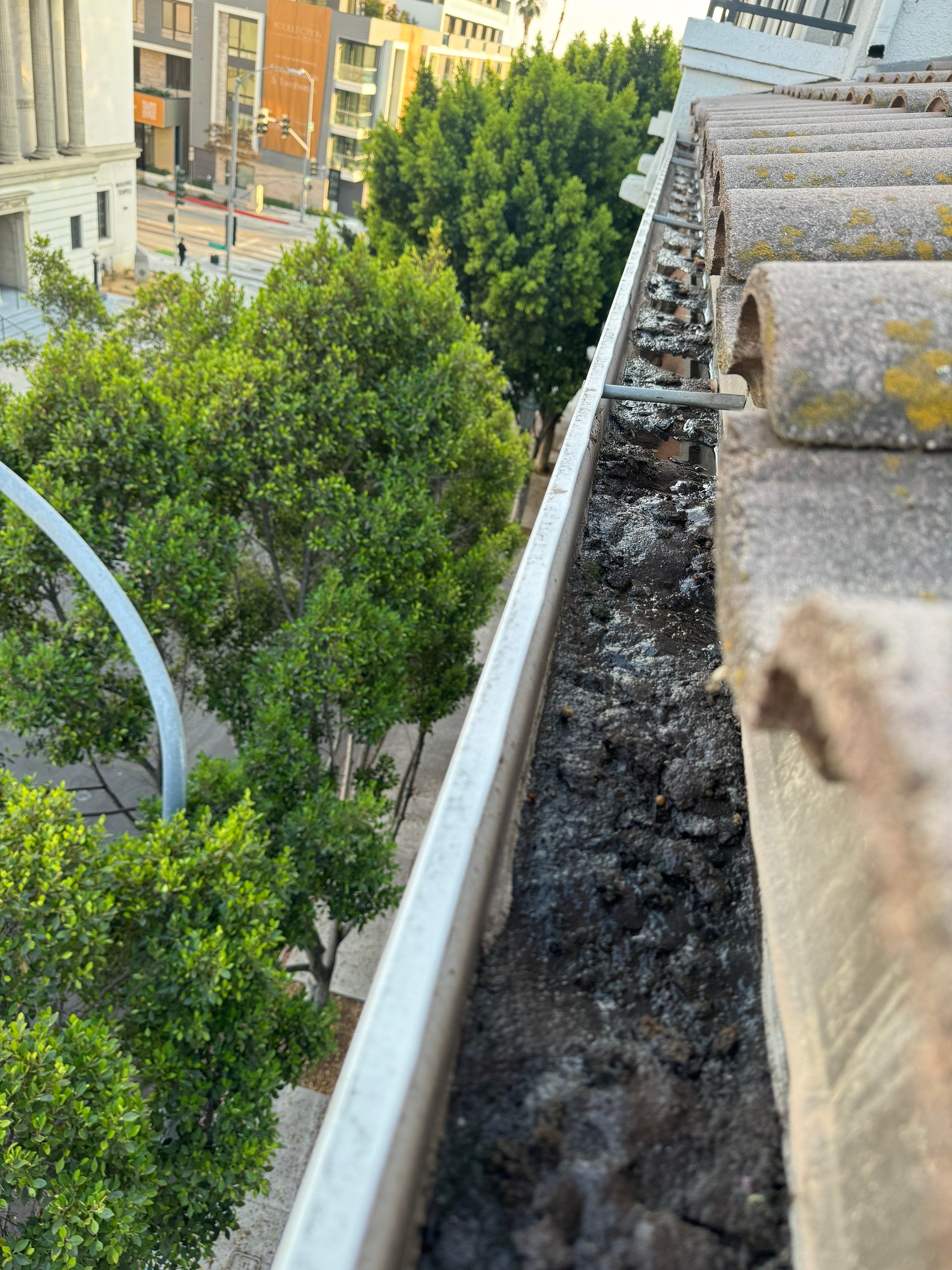 HOA gutter cleaning before photo