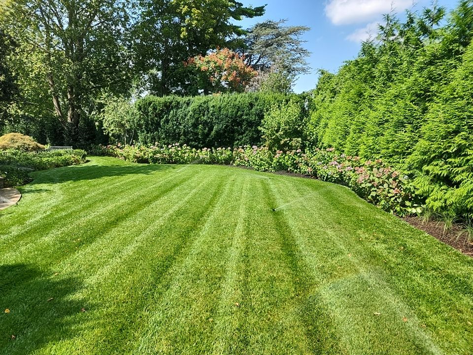 Landscape Design by elegant Lawns