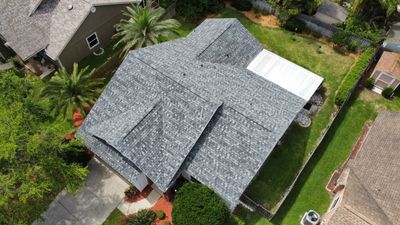 Roof Replacement in Palm Harbor, FL