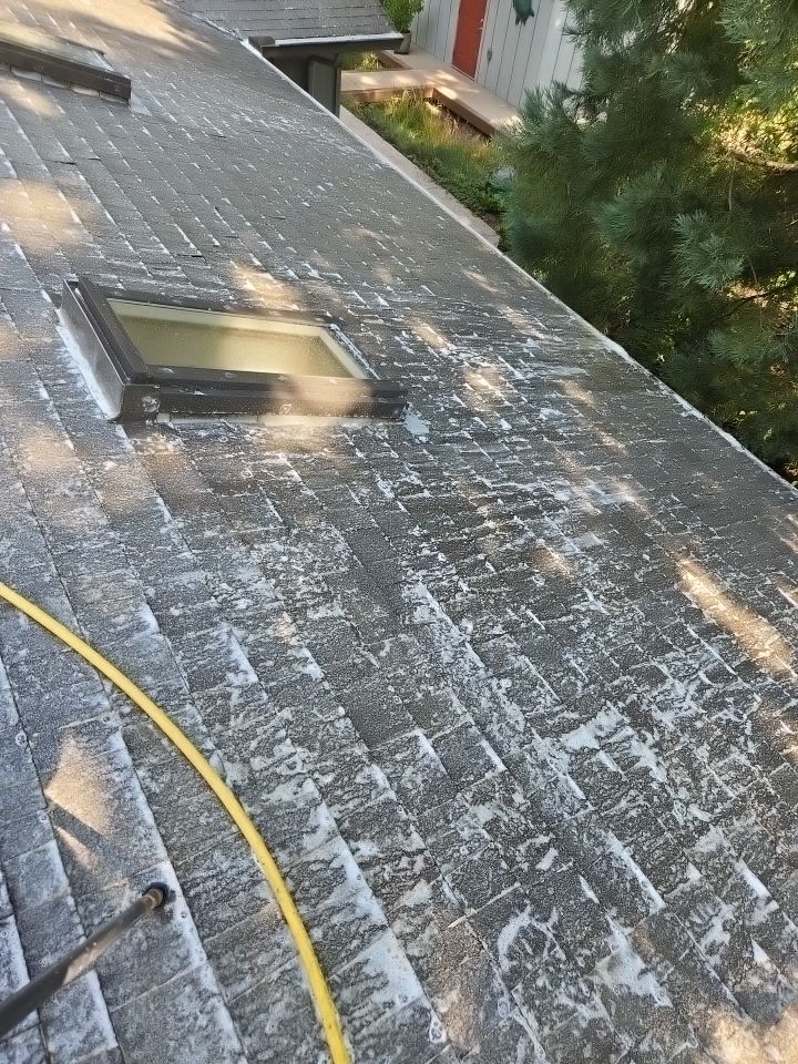Roof Treatment using Biocide by Willamette Outdoor Wash LLC