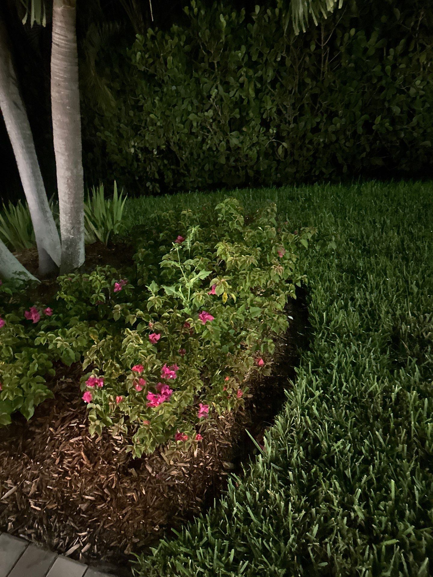 Skyline Serenity – Outdoor Perfection in Jensen Beach by Alpha Zeta Enterprises Inc