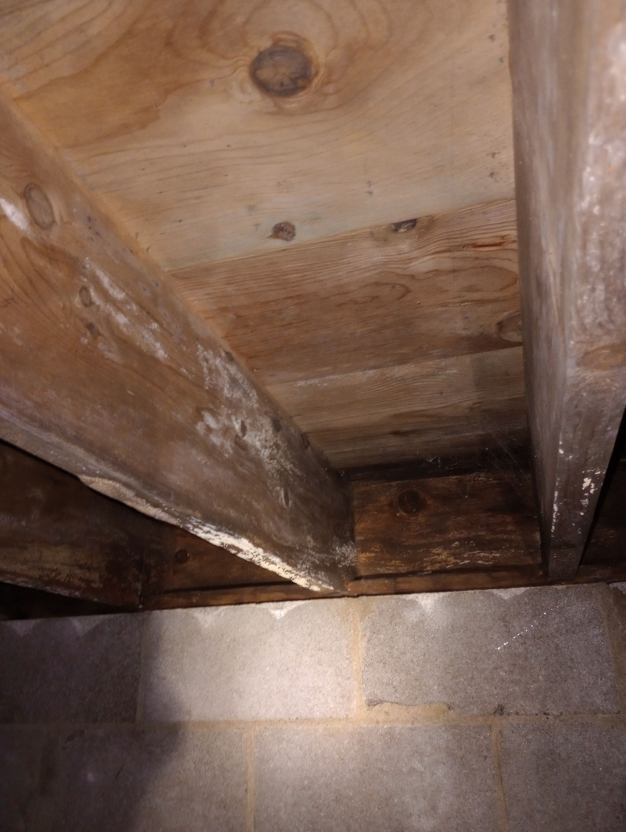 Mold Remediation in Bedroom  by ANR Restoration