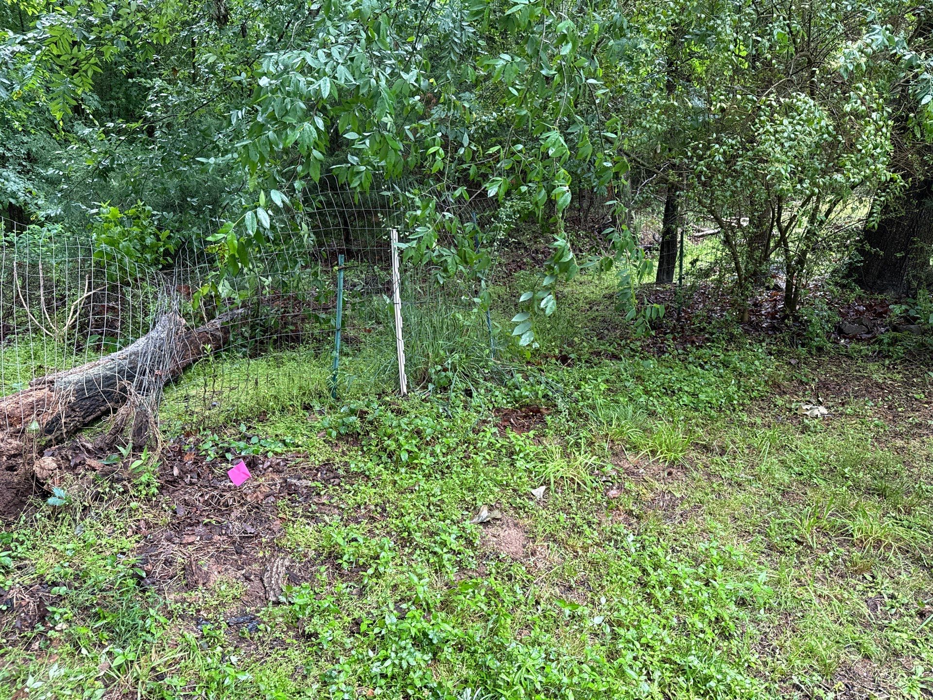 Project in Mint Hill by Badger Hauling